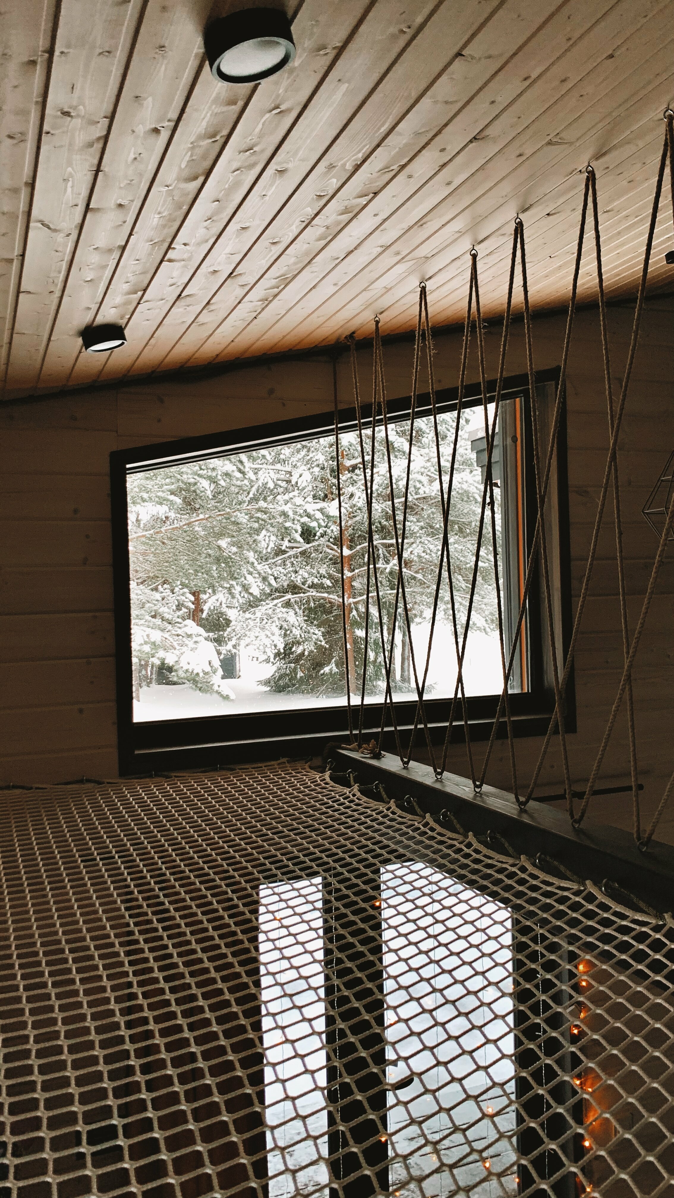 Дом с видом на лес