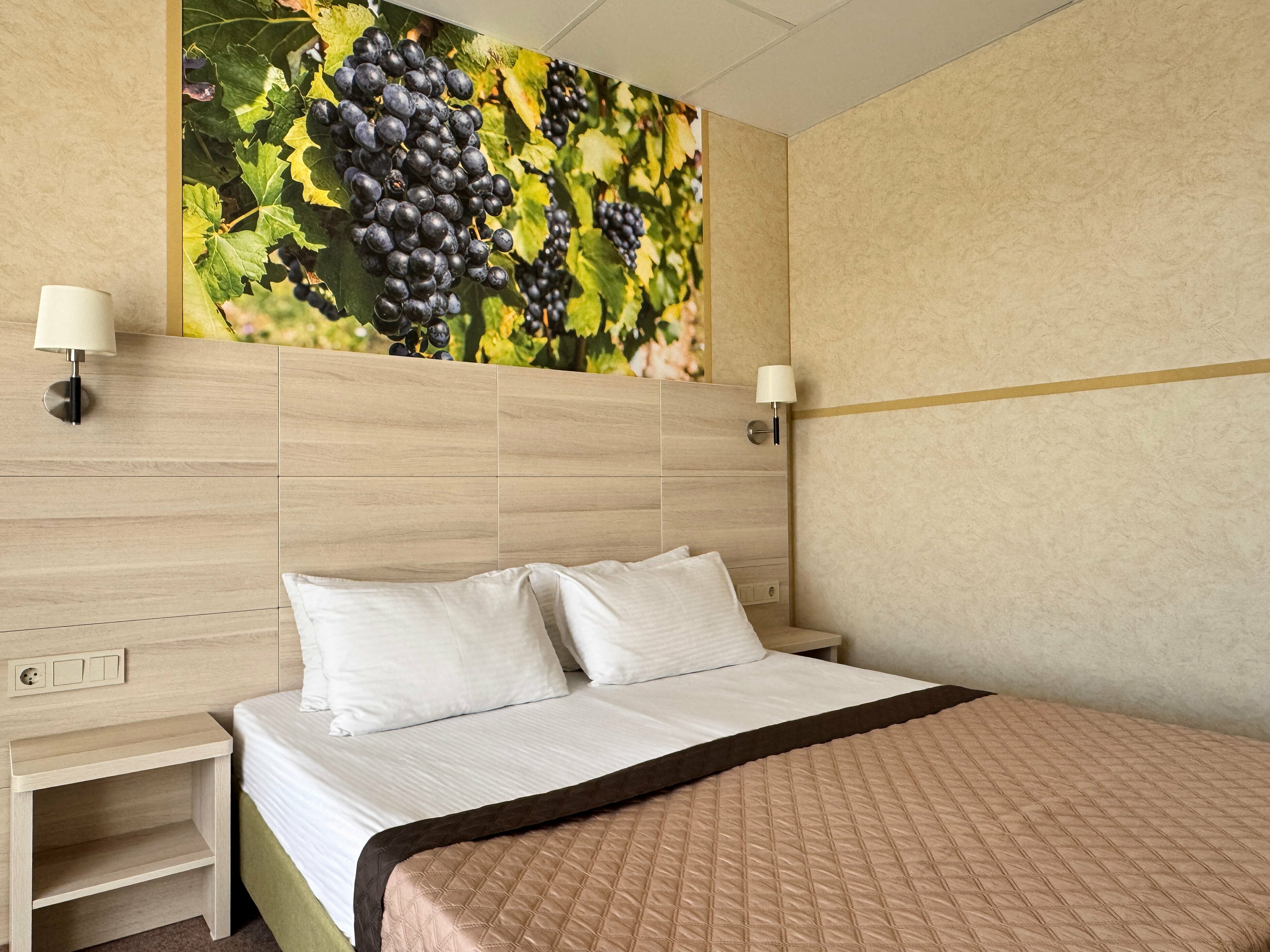 Трехместный Комфорт  с террасой