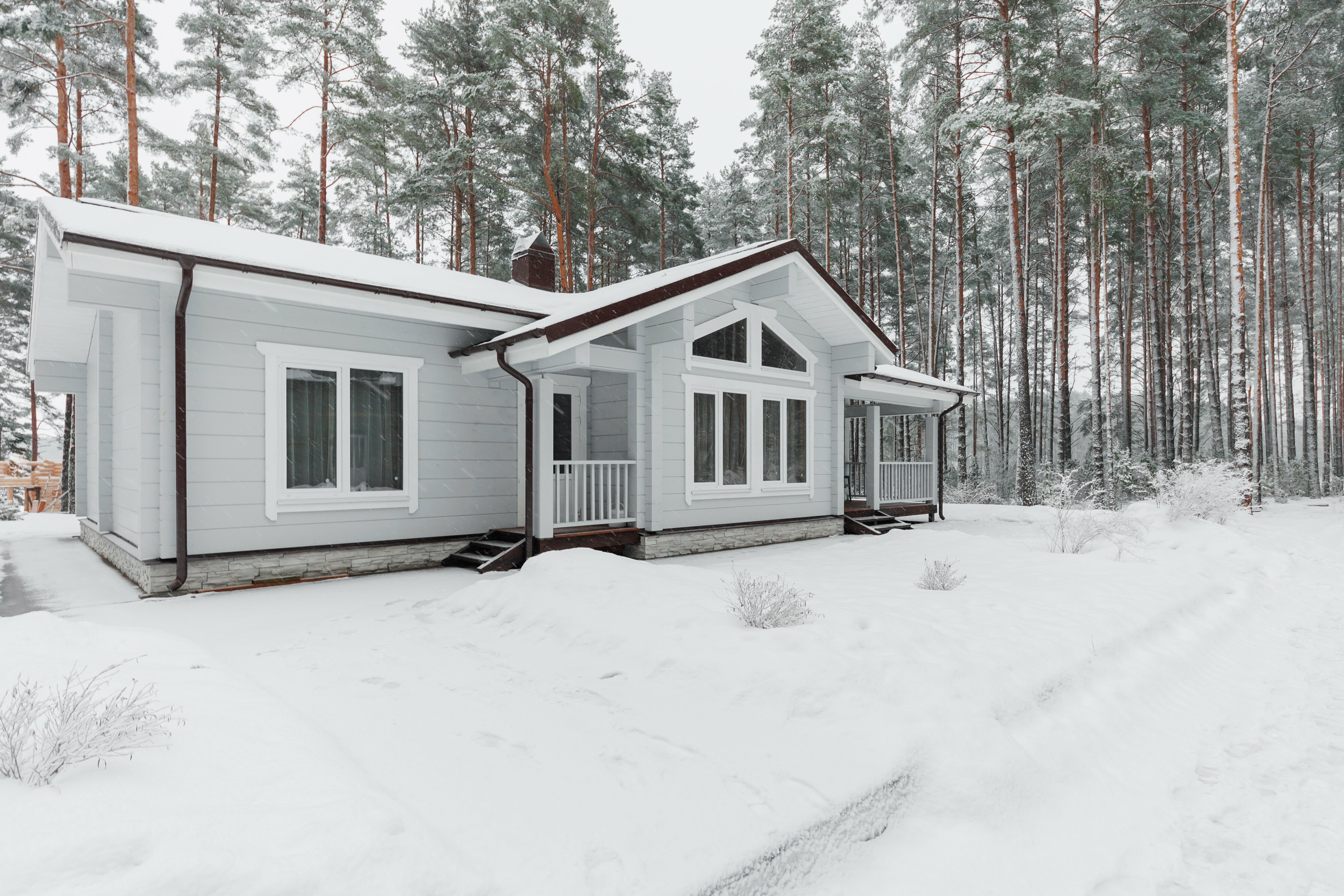 Коттедж с видом на лес