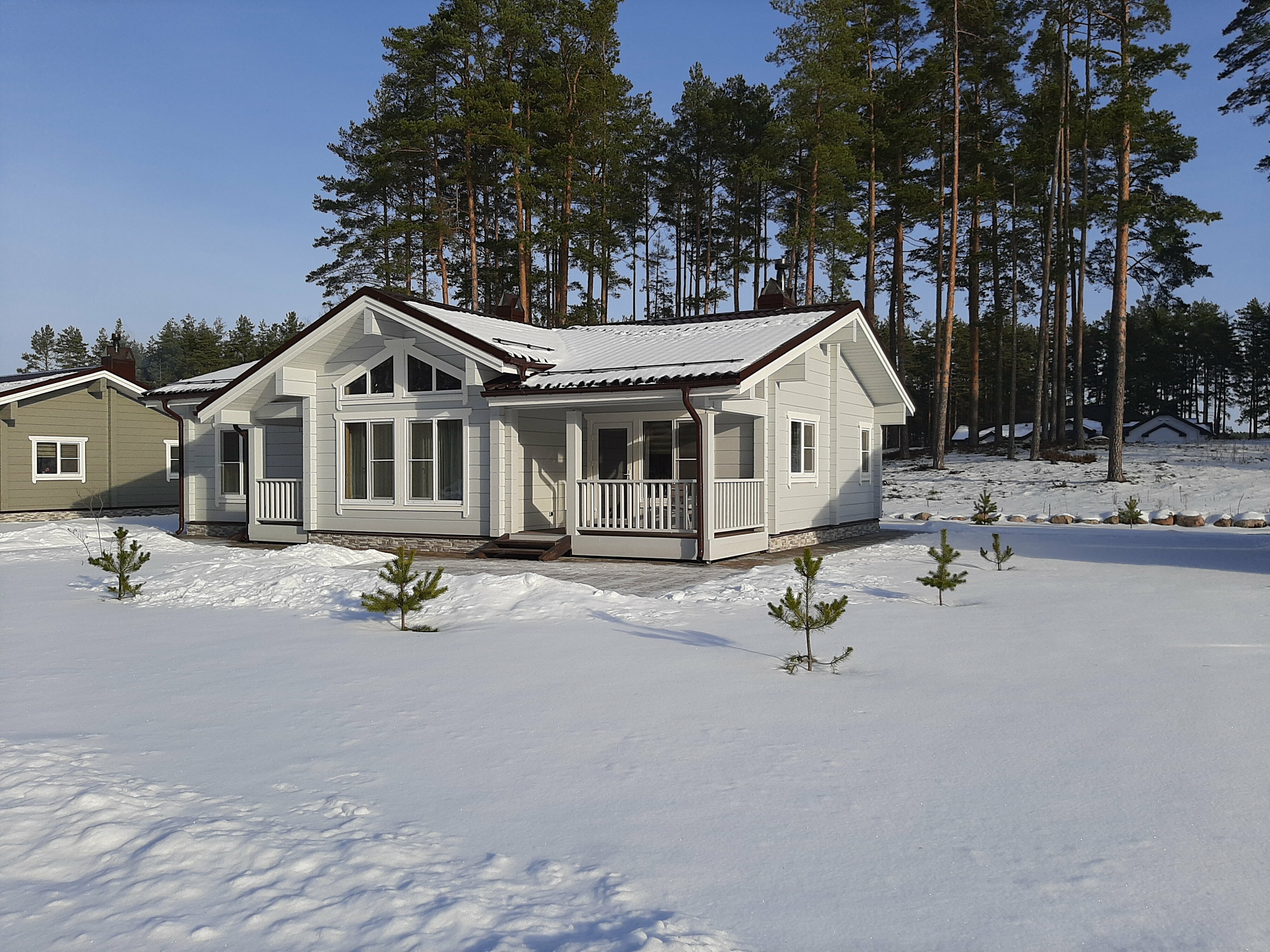 Коттедж с видом на лес