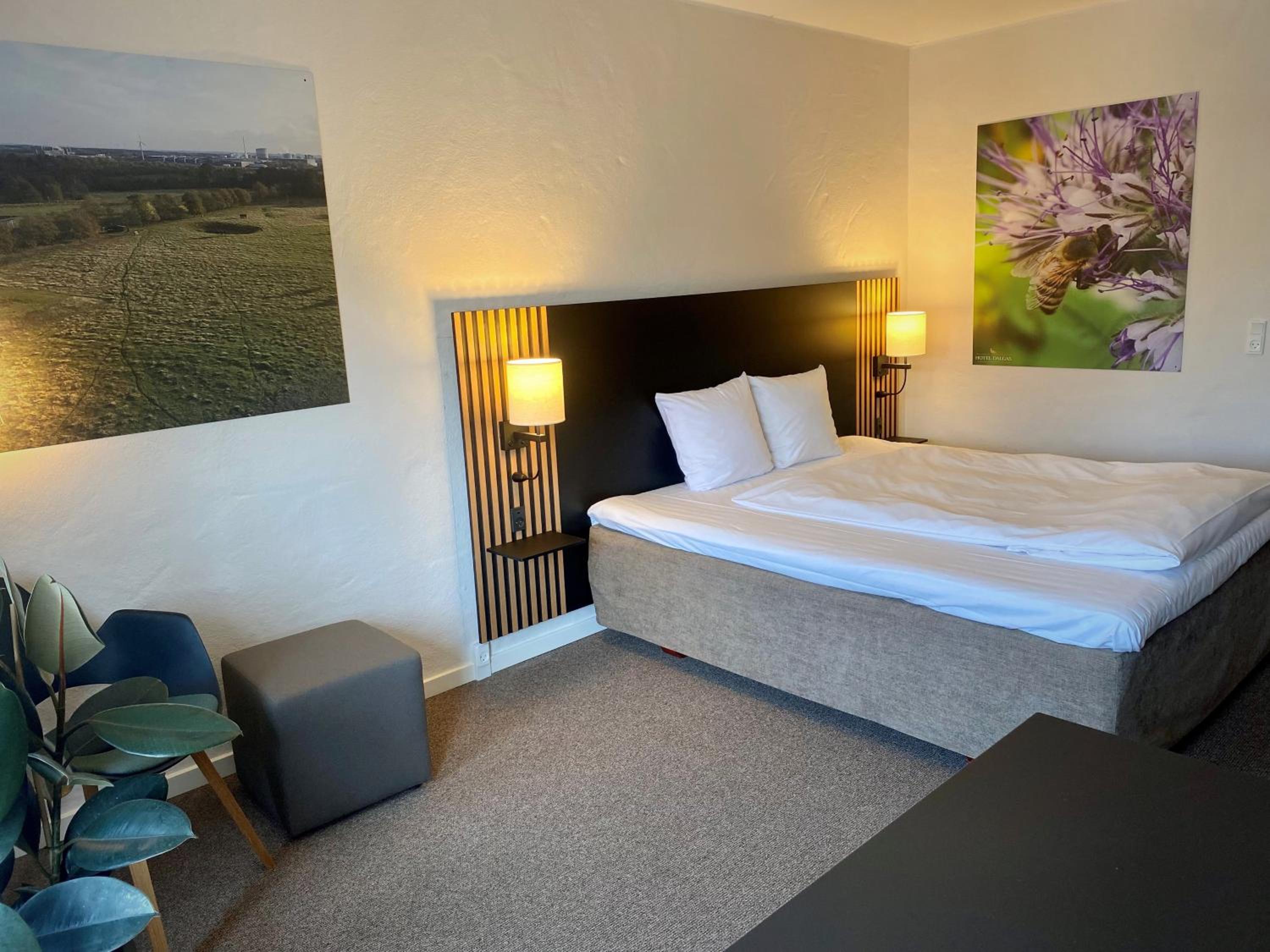 Business King Room - Non-Smoking