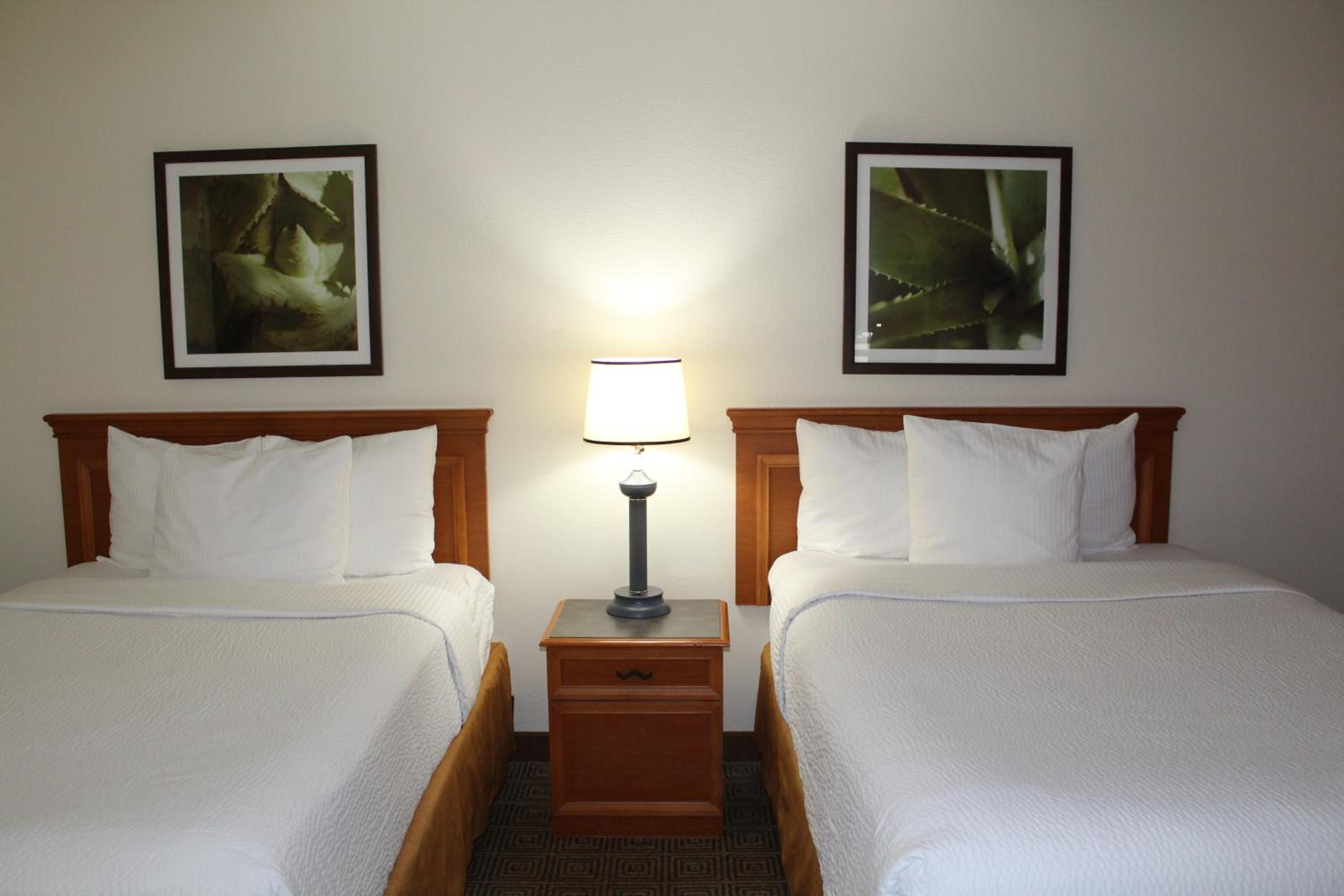 Double Room with Two Double Beds