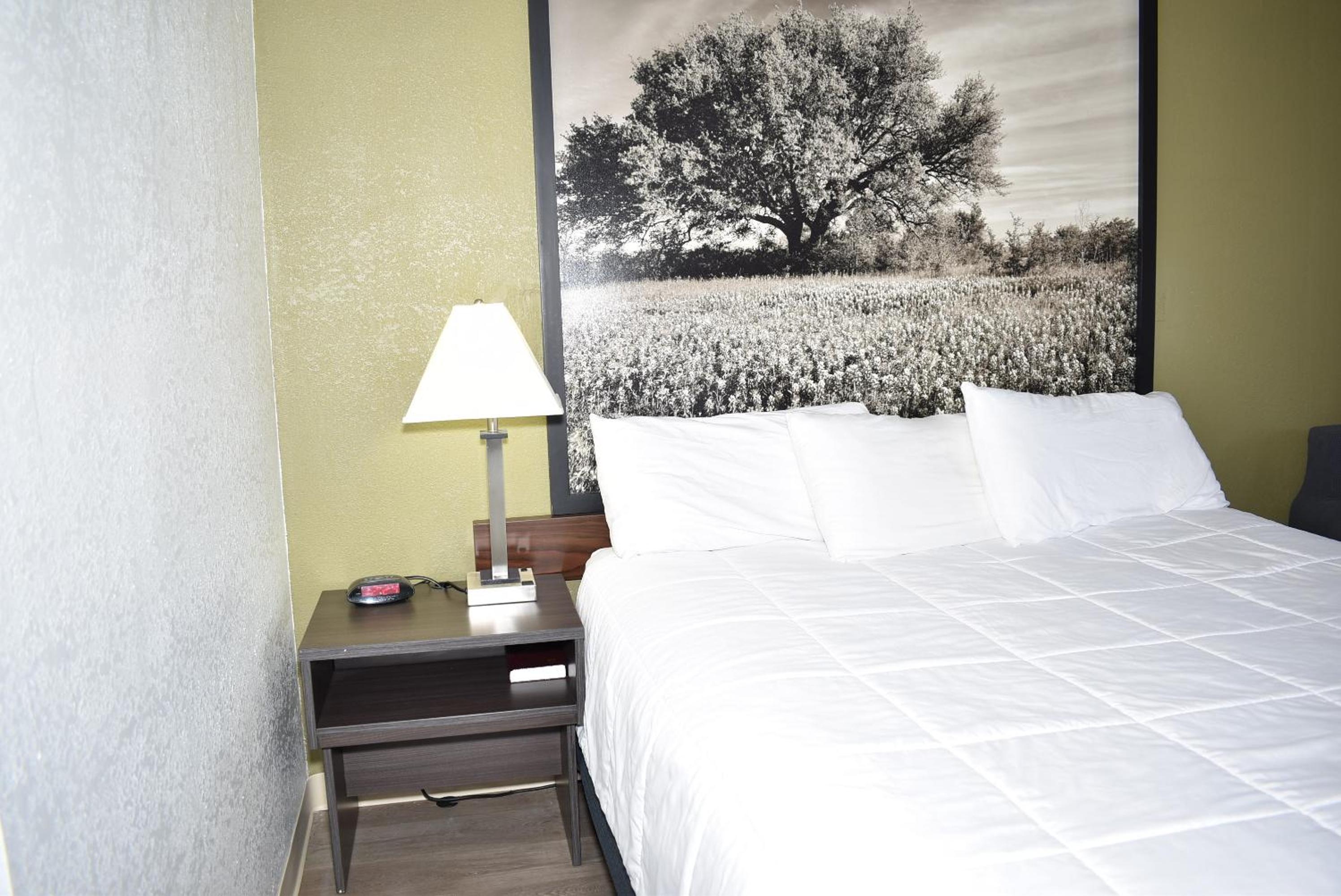 Queen Room - Non-Smoking