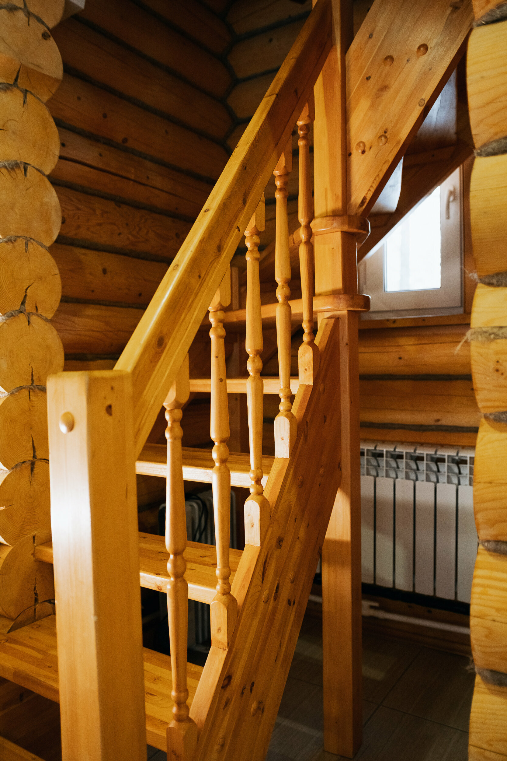 Двухэтажный дом с видом на Катунь