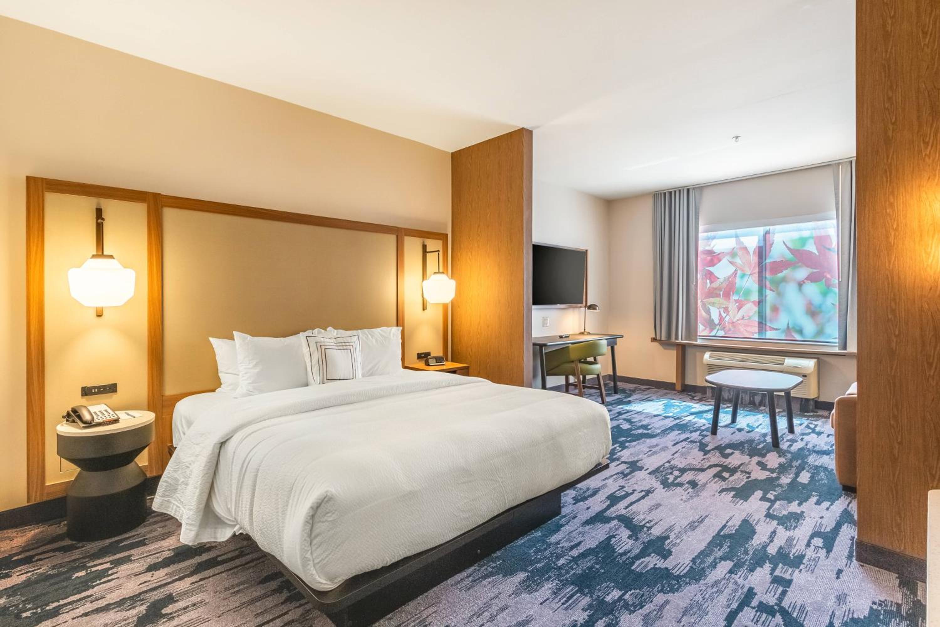 Suite, 1 King, Sofa bed