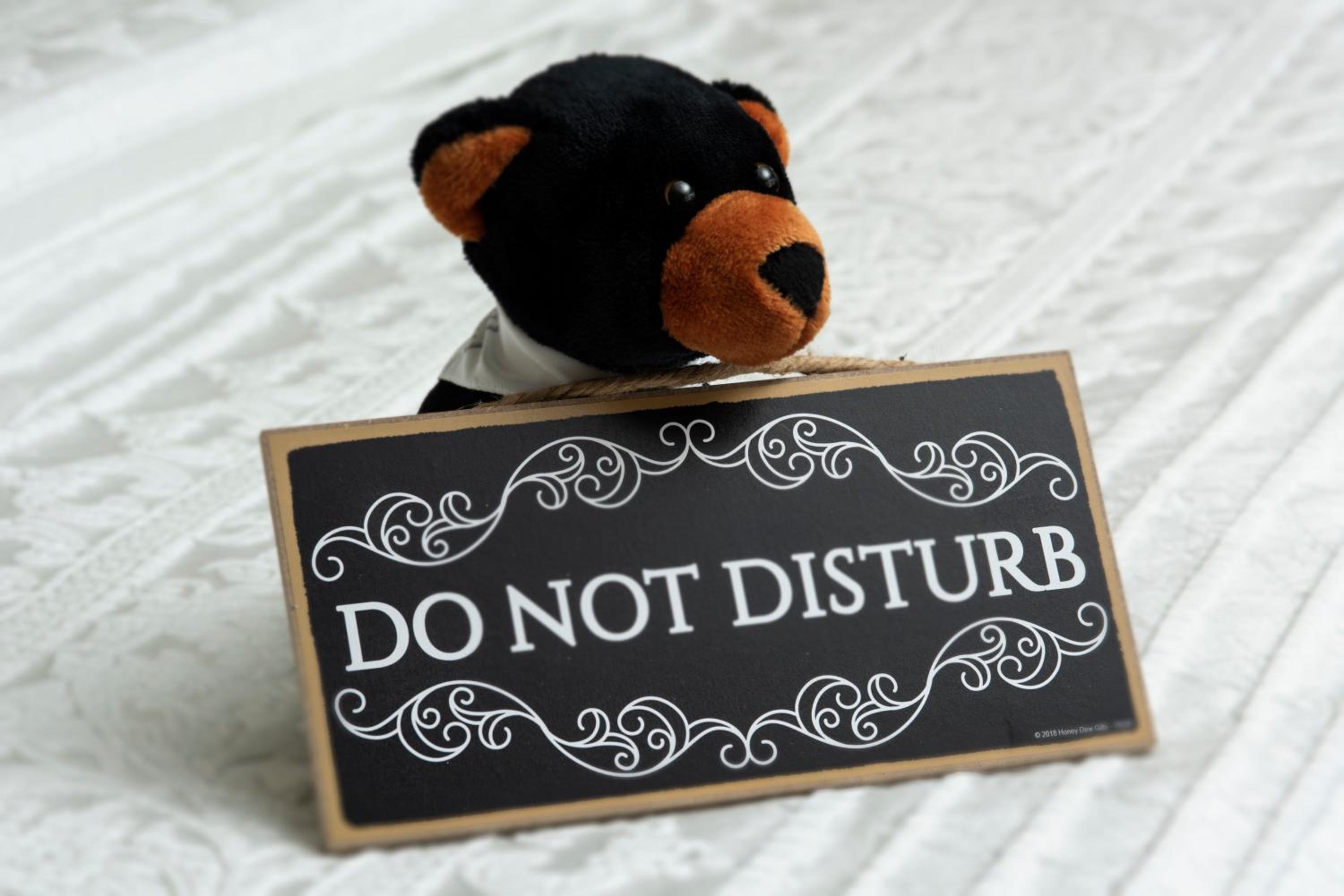 Mt. Washington Suite