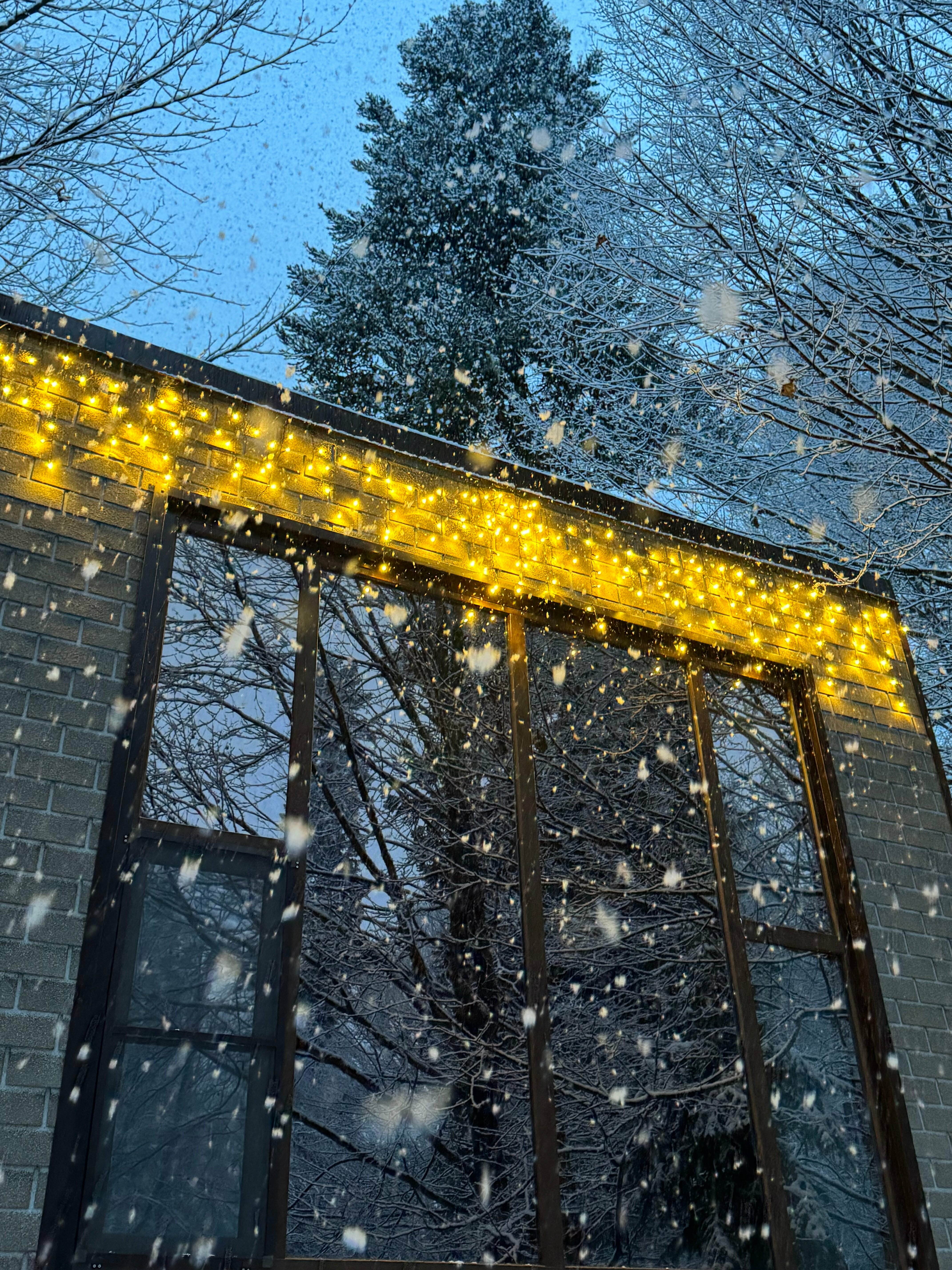 Четырехместный номер