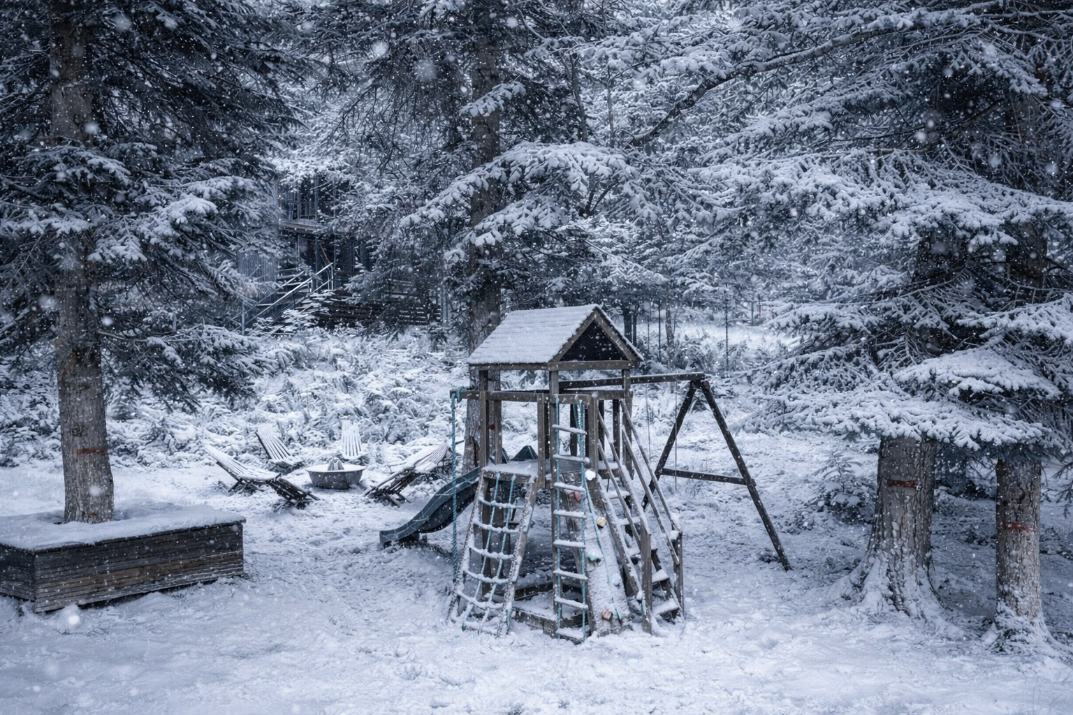 Дом с видом на лес