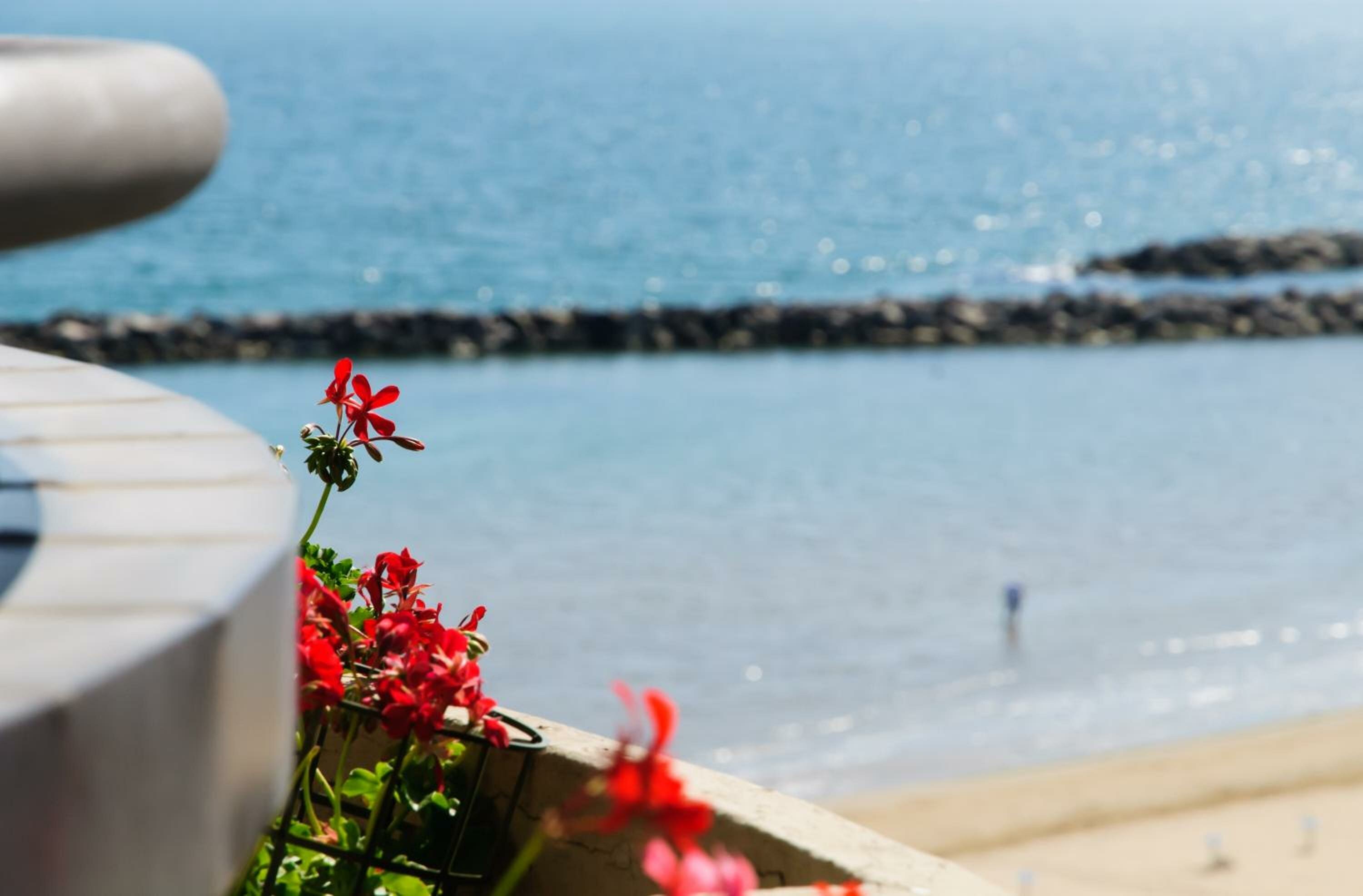  One Bedroom Apartment with Lateral Sea View