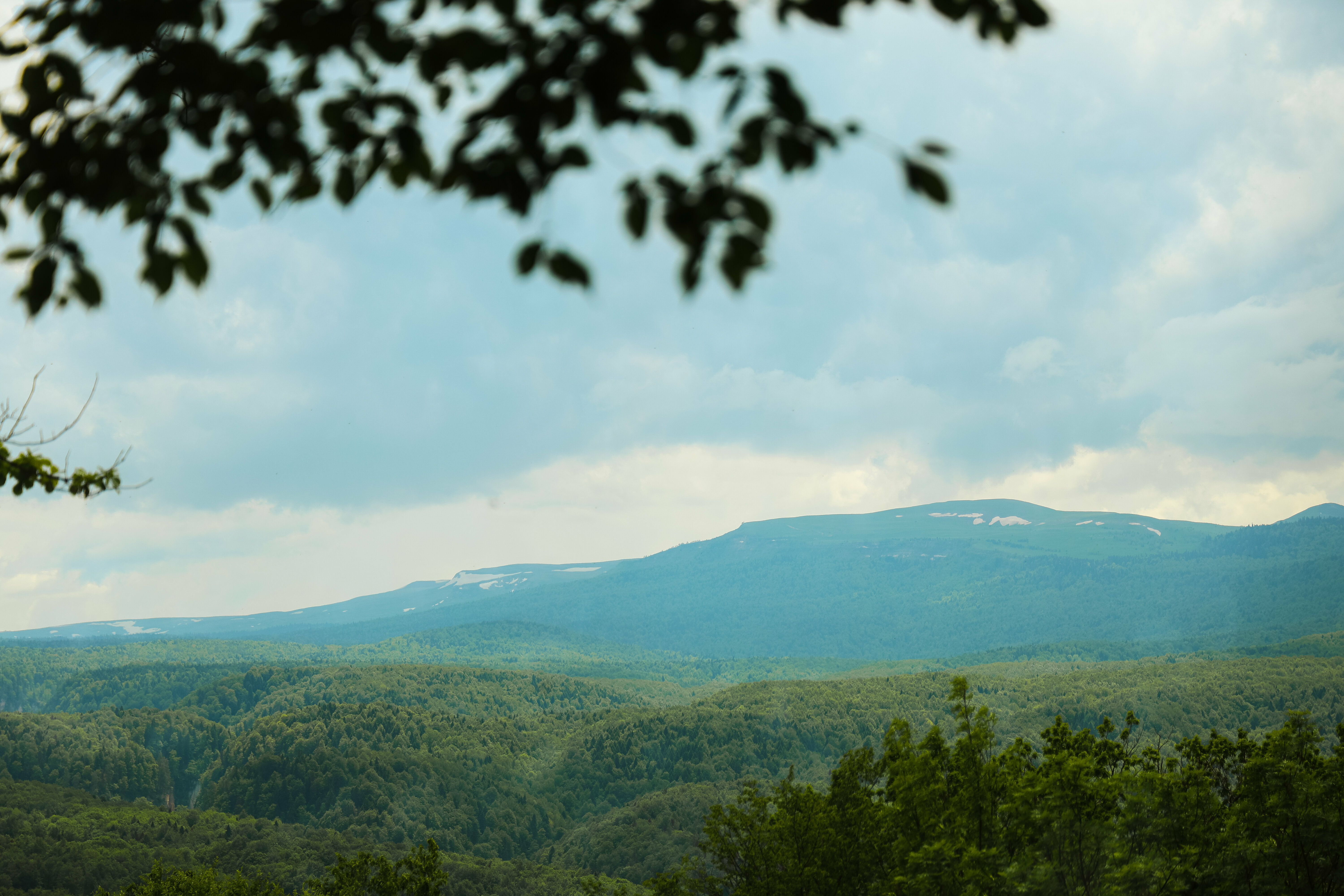 Стандартный двухместный номер с 1 кроватью или 2 отдельными кроватями