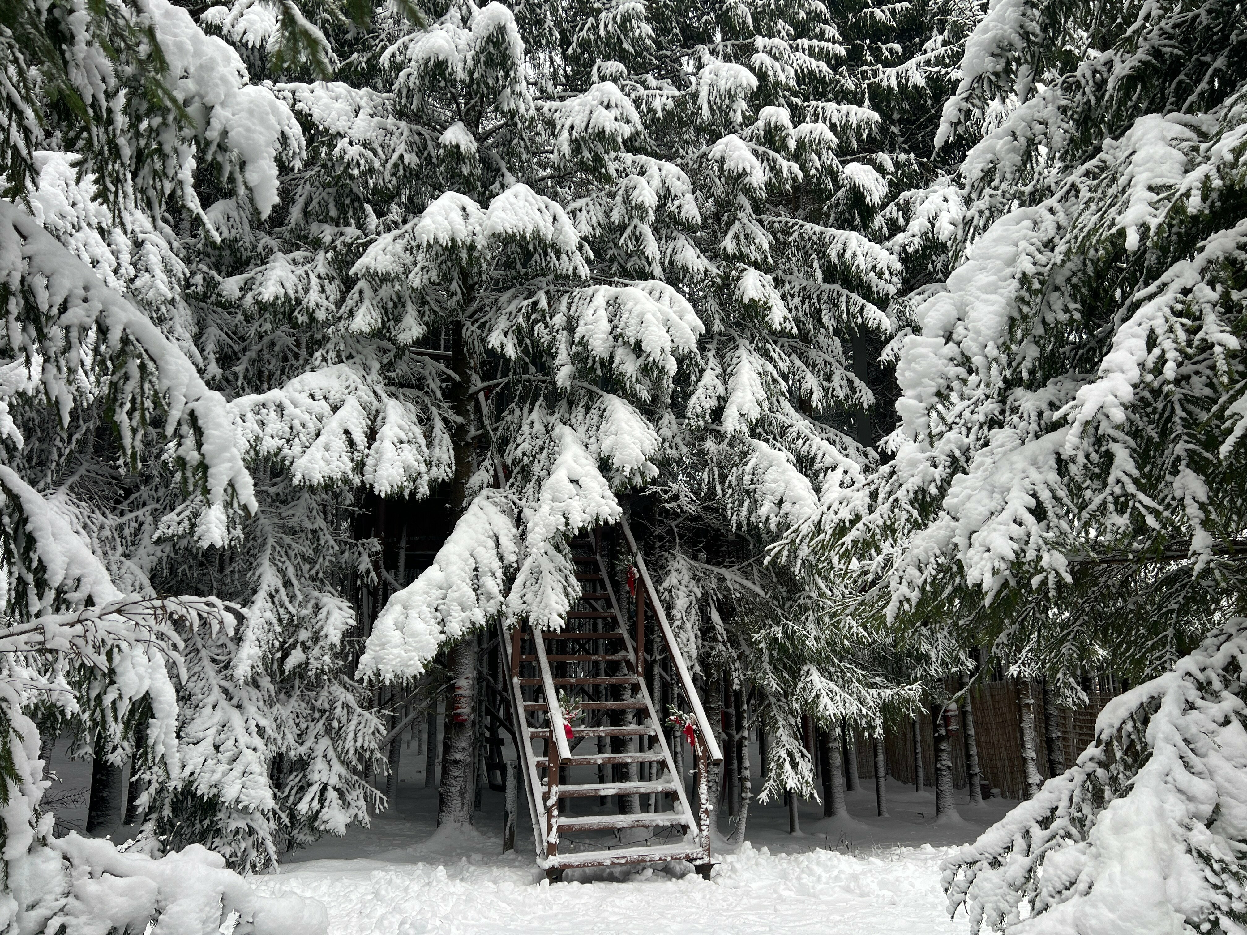 Зеркальный дом на дереве Романтик