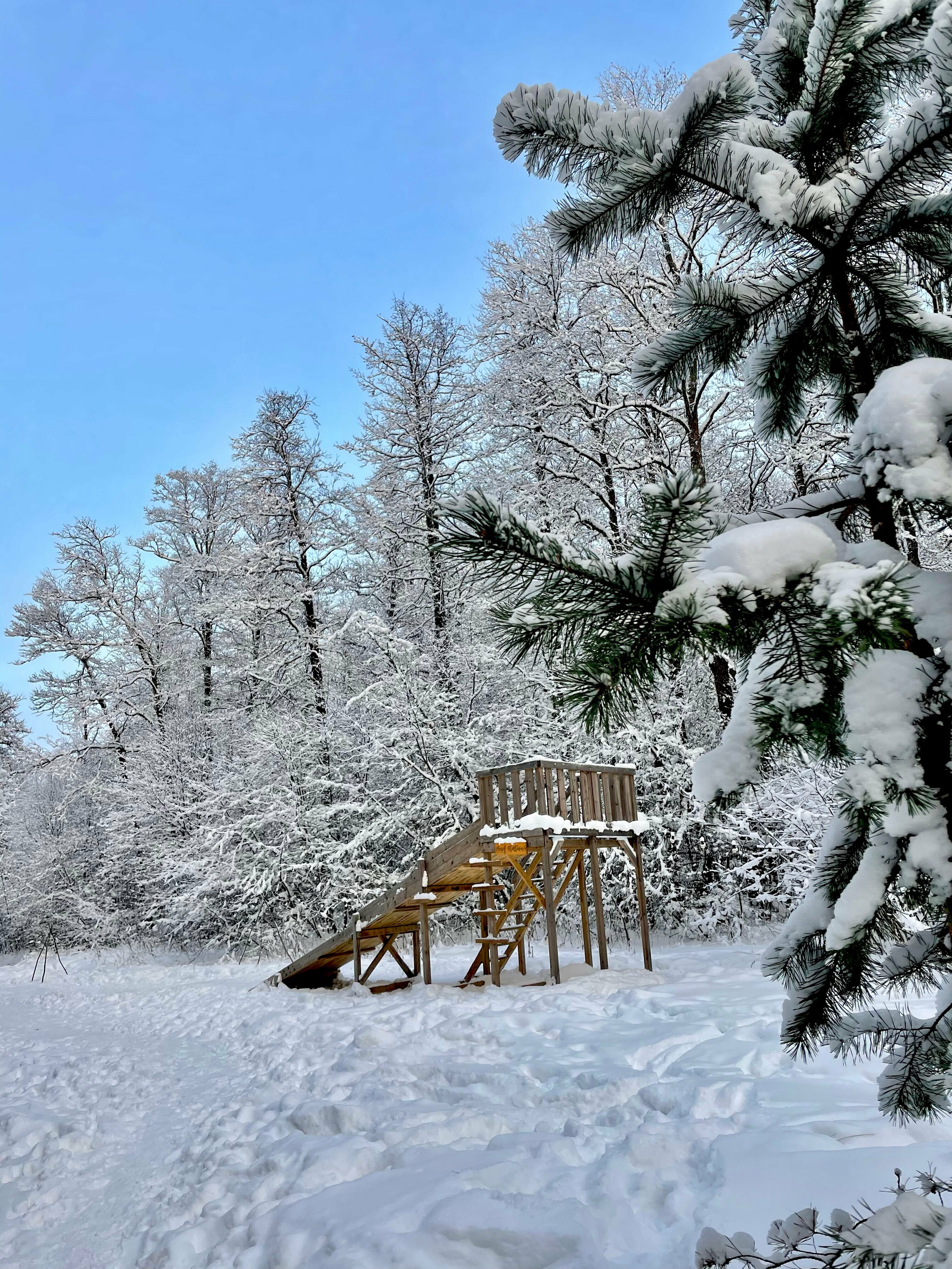 Зеркальный домик