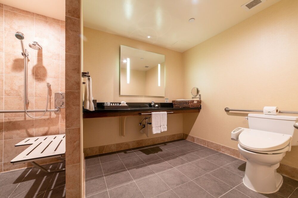 Deluxe Room, 1 King Bed, Accessible, City View (ADA Accessible Deluxe King)