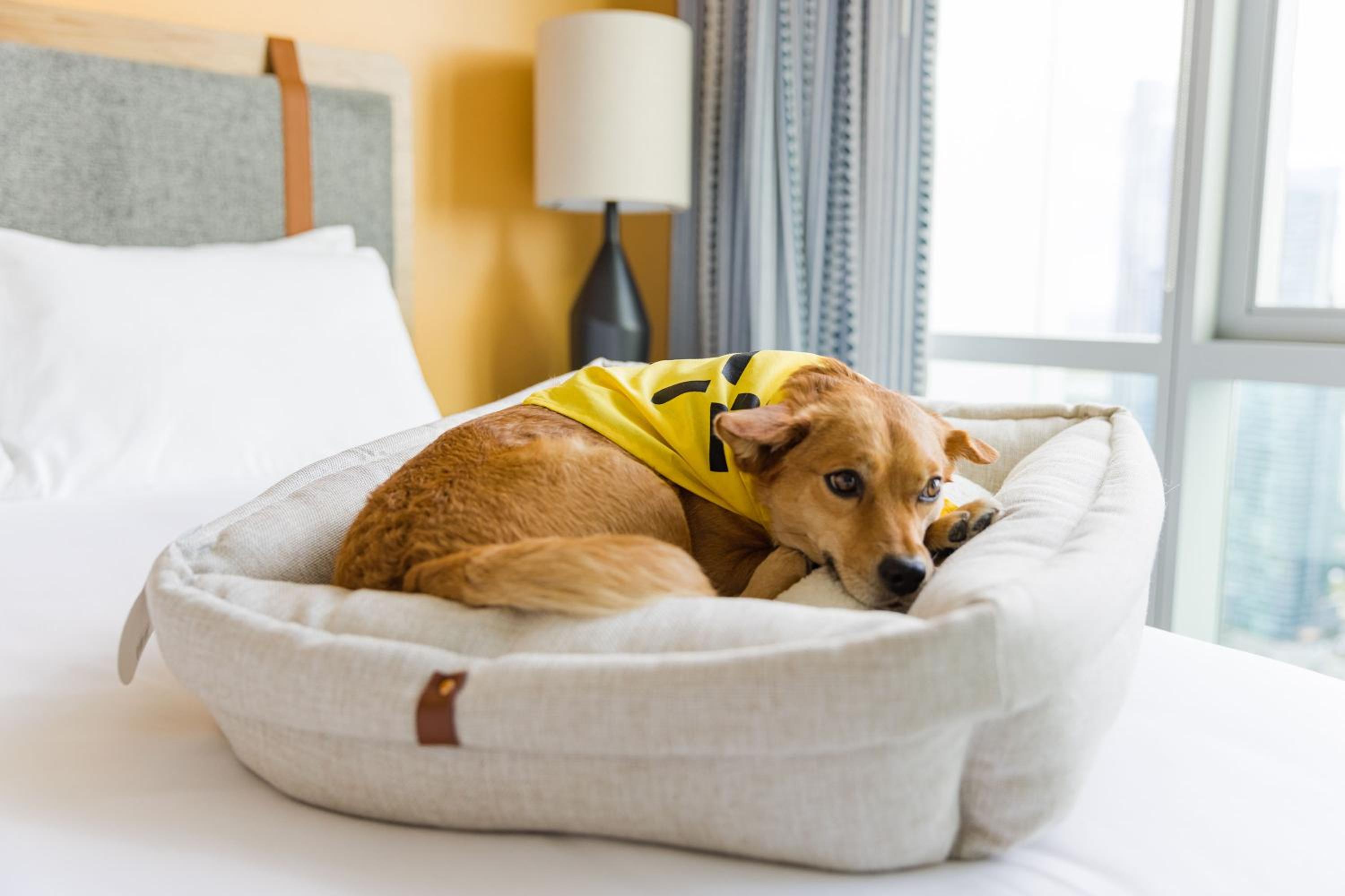 Studio Apt on East 6th St.