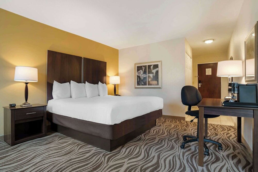 Standard Room, 1 King Bed, Non Smoking, Jetted Tub (with Sofabed)