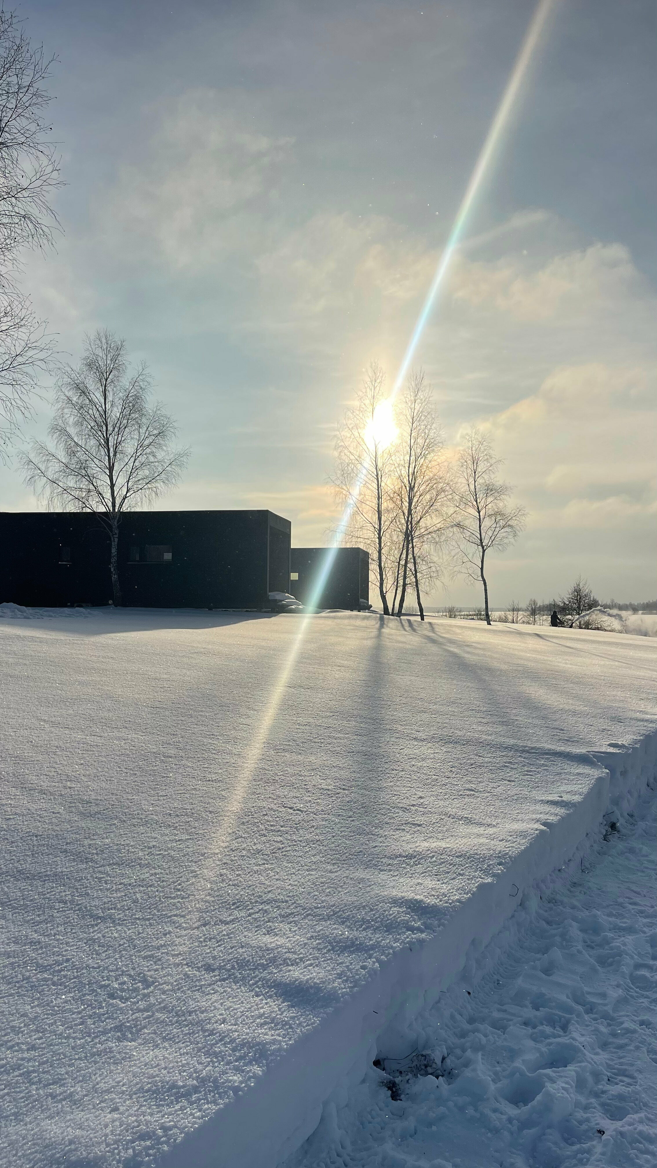 Луговая сказка