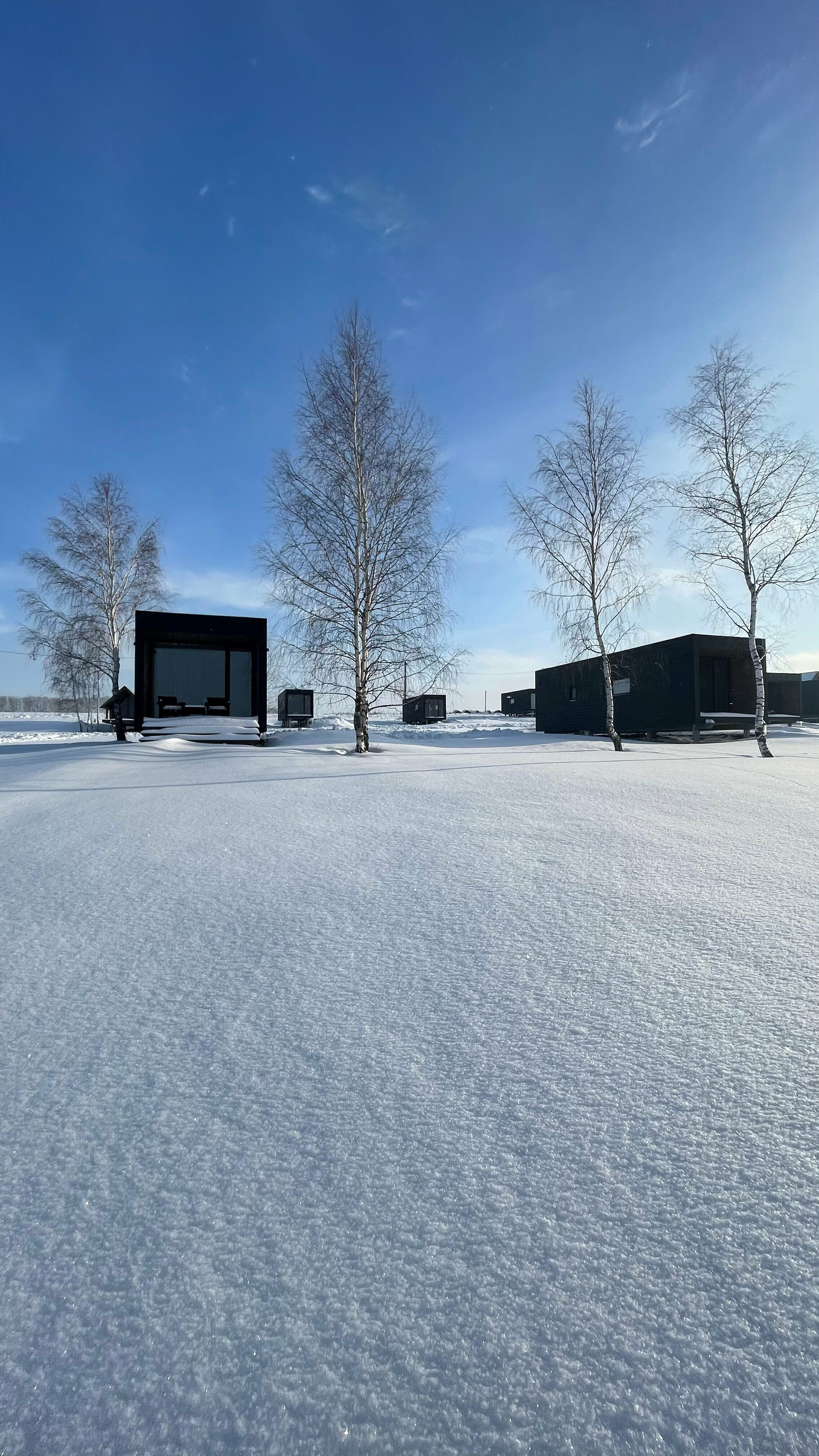 Тихий берег