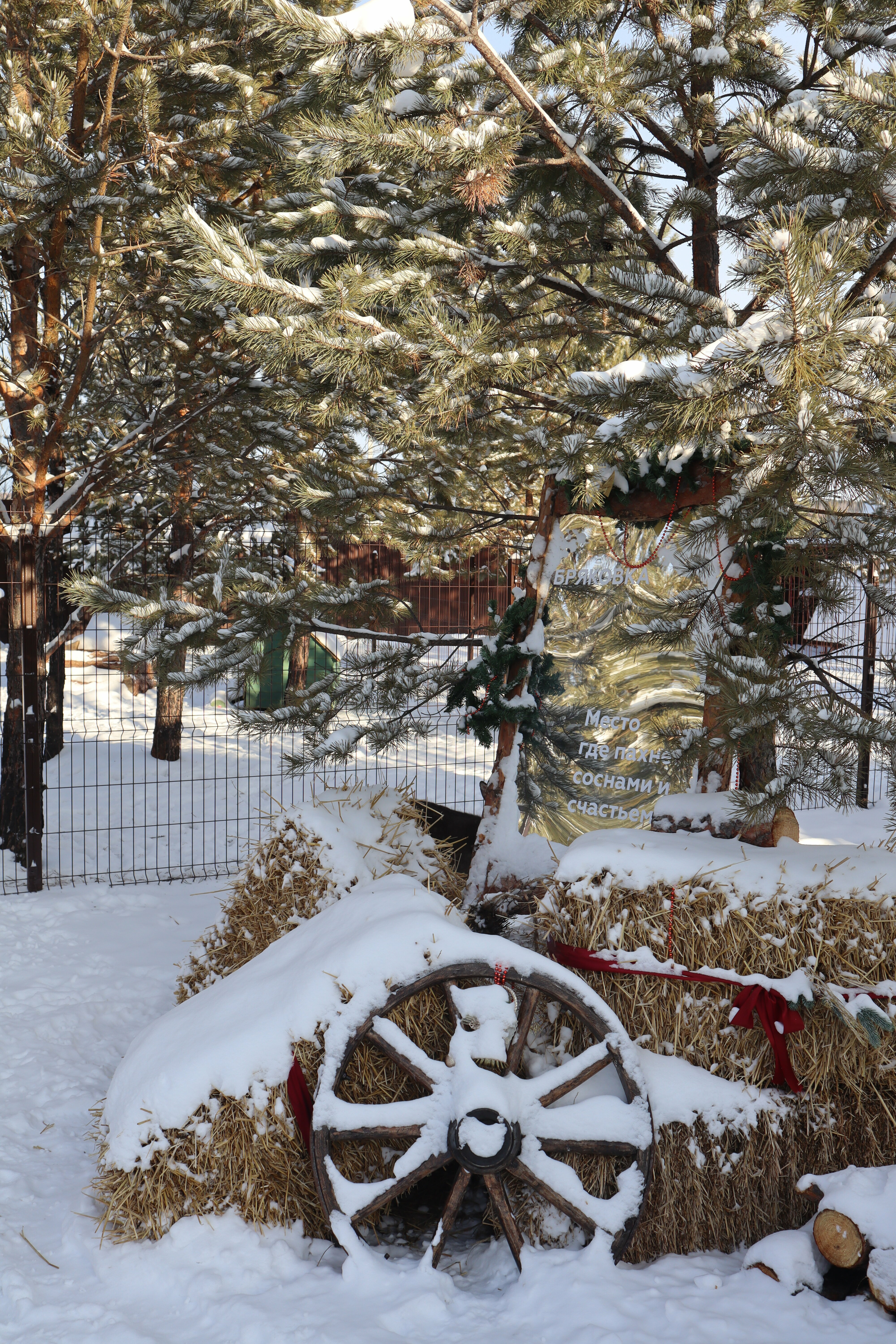 Дом с видом на лес