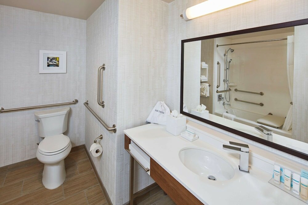 Room, 1 King Bed with Sofa bed, Accessible, Bathtub (Mobility & Hearing)