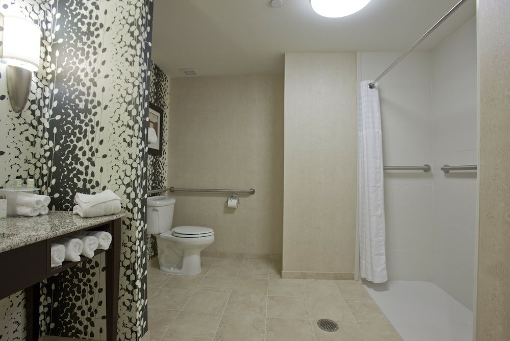Standard Suite, 1 King Bed with Sofa bed