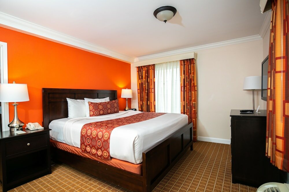 Suite, 1 King Bed with Sofa bed