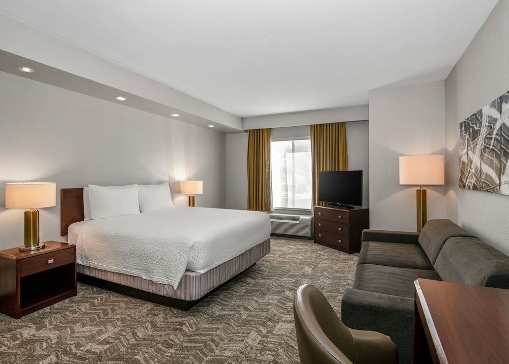 Suite, 1 King Bed with Sofa bed