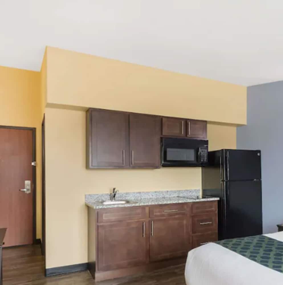 Efficiency, 1 King Bed, Accessible, Kitchenette