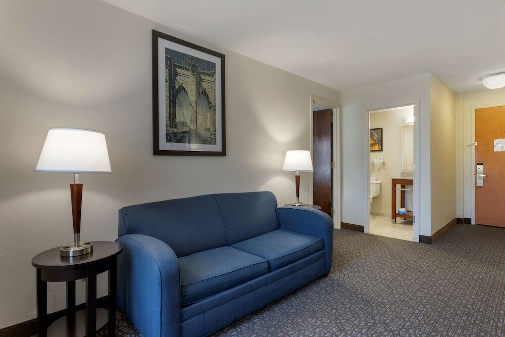 Suite, 1 King Bed, Non Smoking, Refrigerator & Microwave (with Sofabed)