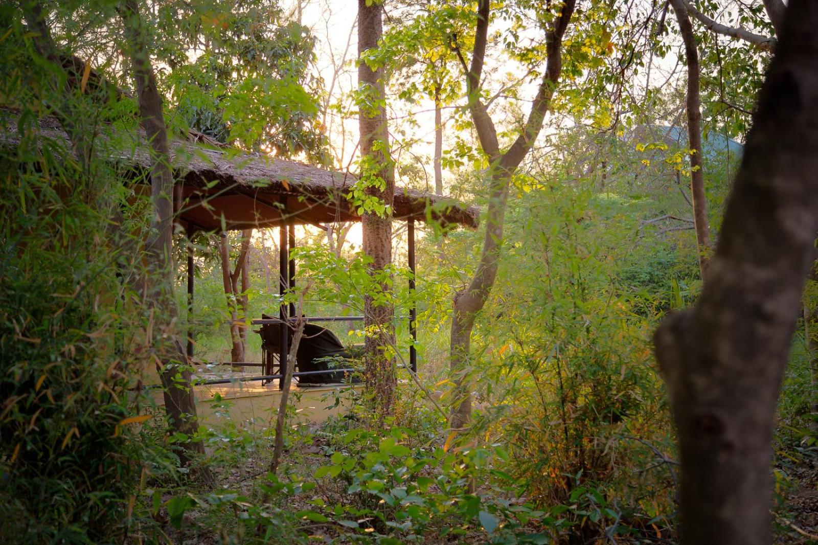 Jungle Cottage 