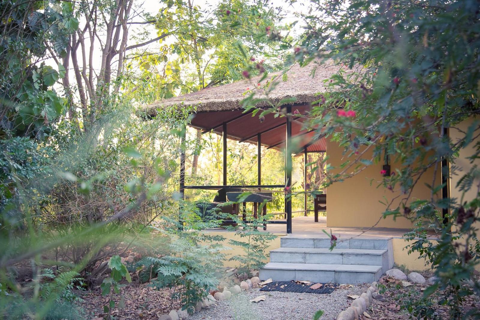 Jungle Cottage 