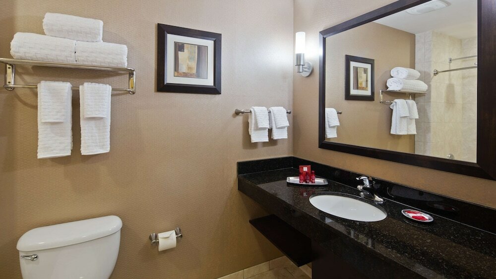 Executive Room, 1 King Bed, Non Smoking, Refrigerator & Microwave