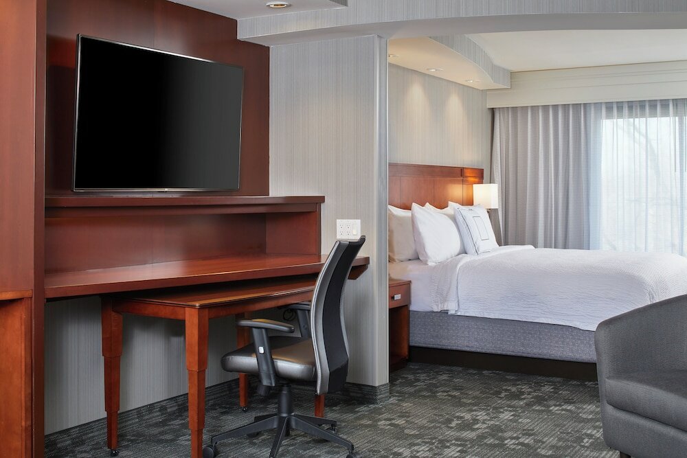 Suite, 1 King Bed with Sofa bed