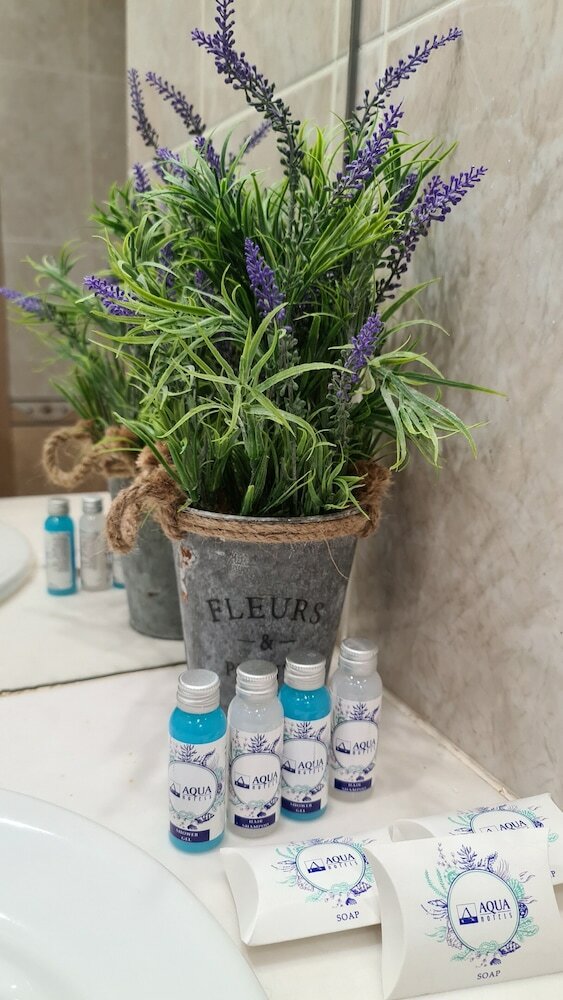 Premium Double or Twin Room