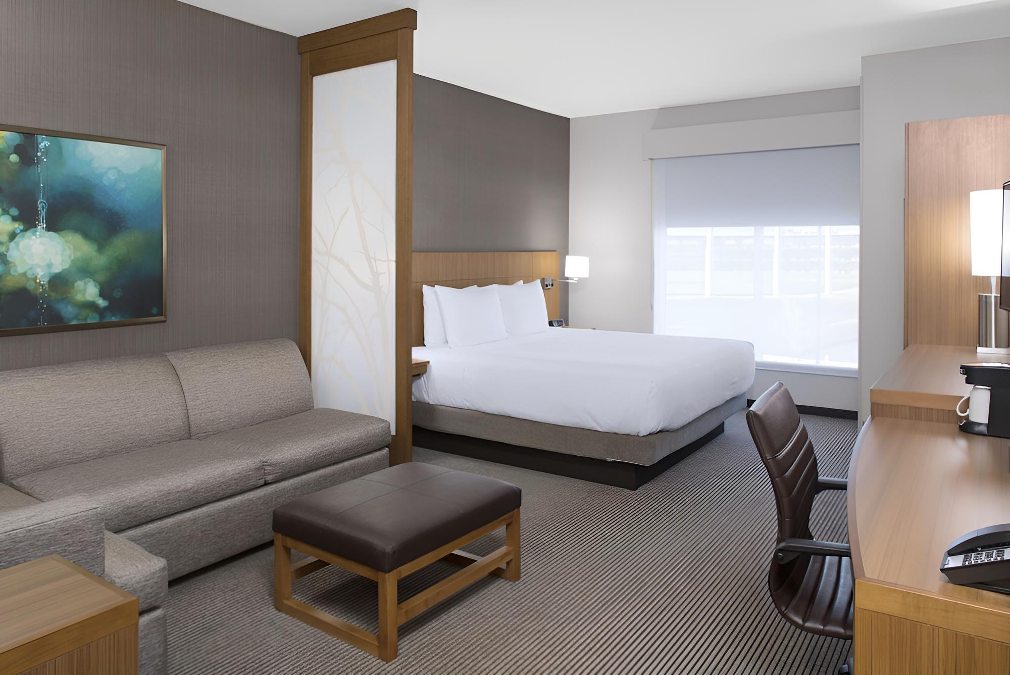 Room, 1 King Bed with Sofa bed, Accessible (With Shower)
