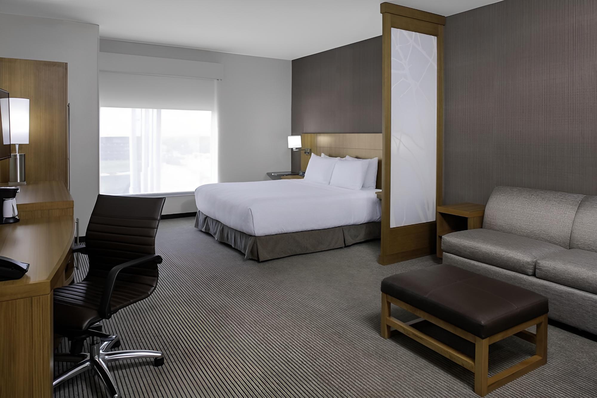 Room, 1 King Bed with Sofa bed, Accessible (With Shower)