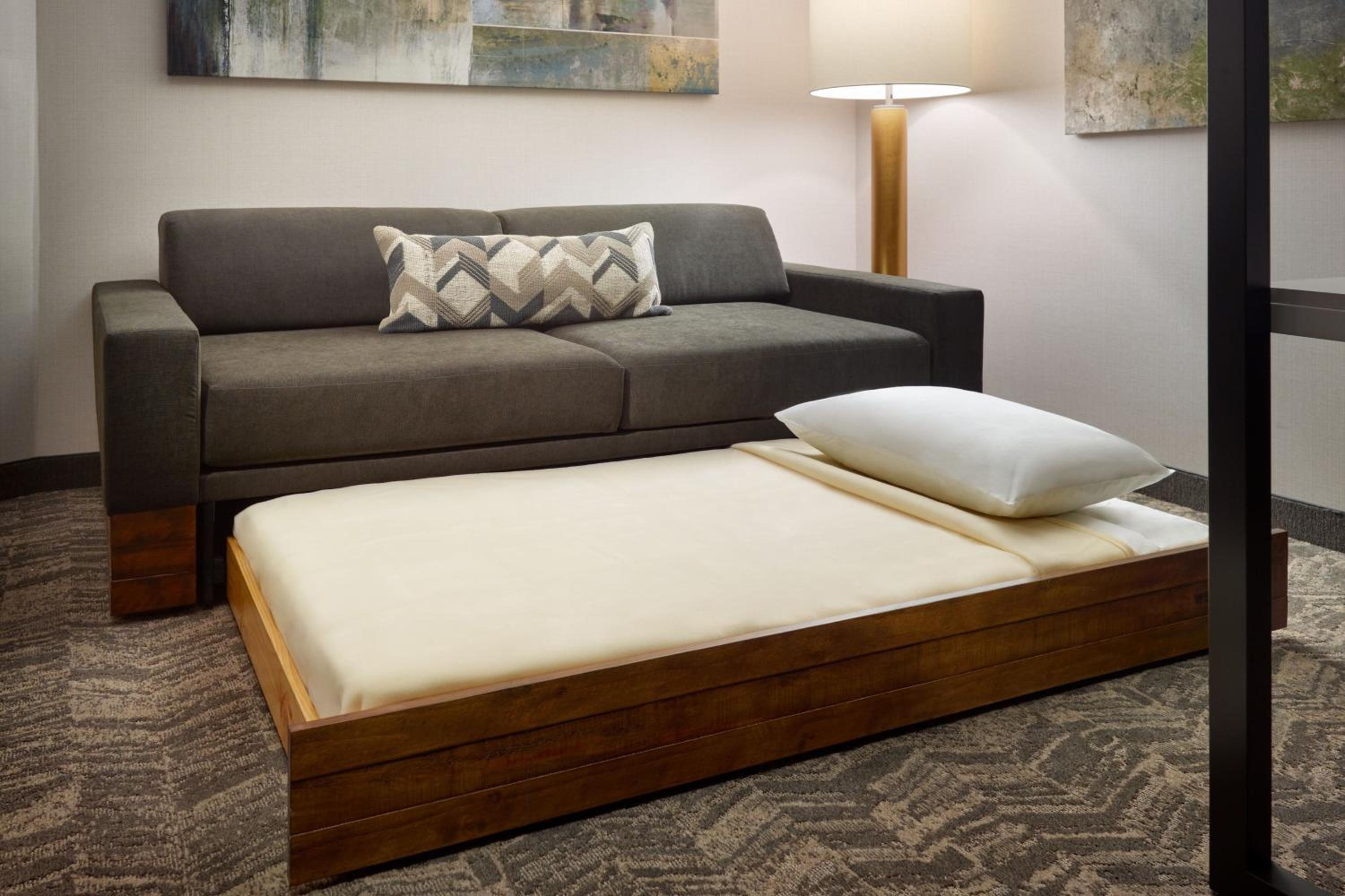 King Studio Suite with Sofa Bed - Mobility Accessible with Tub