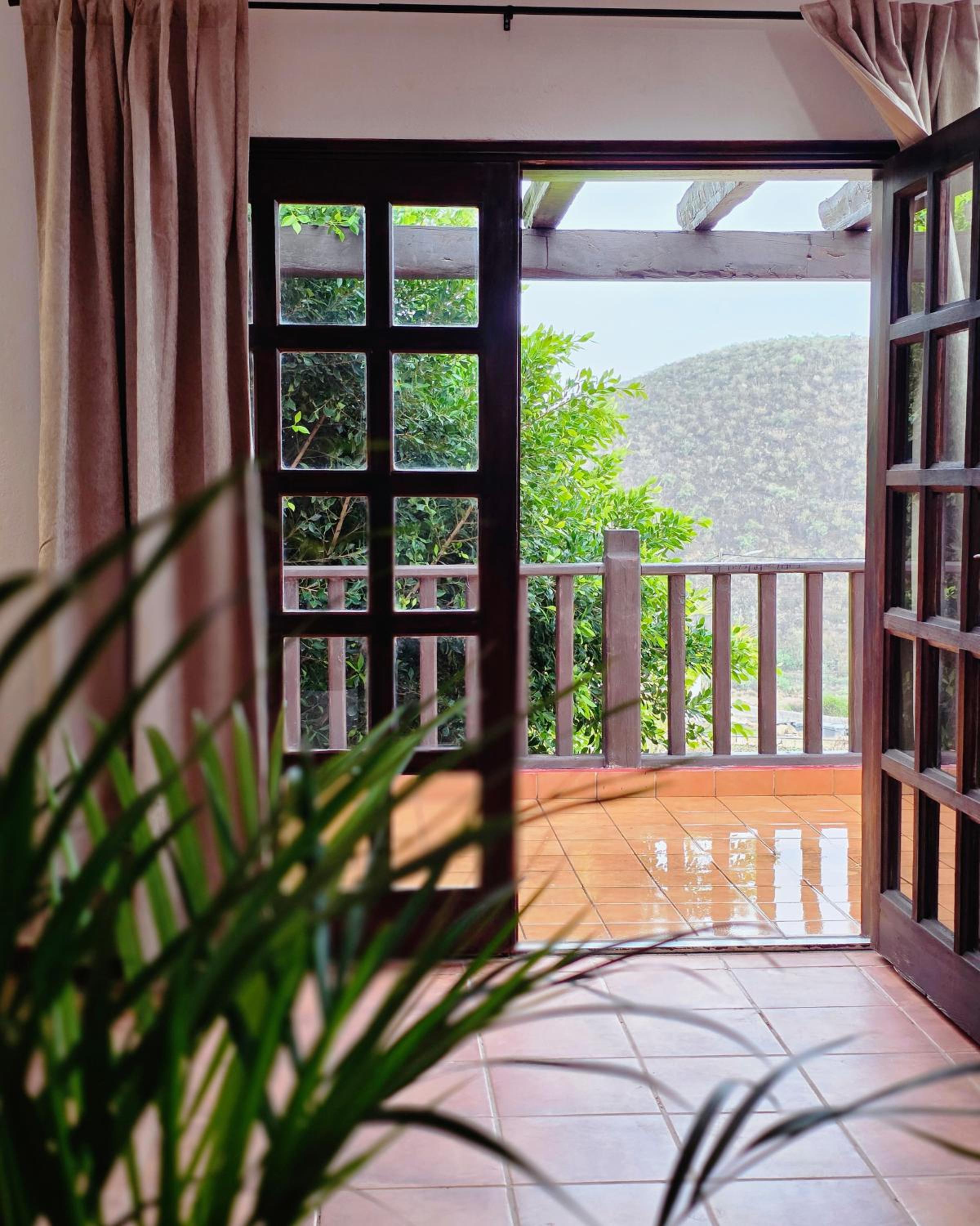 Suite with Terrace