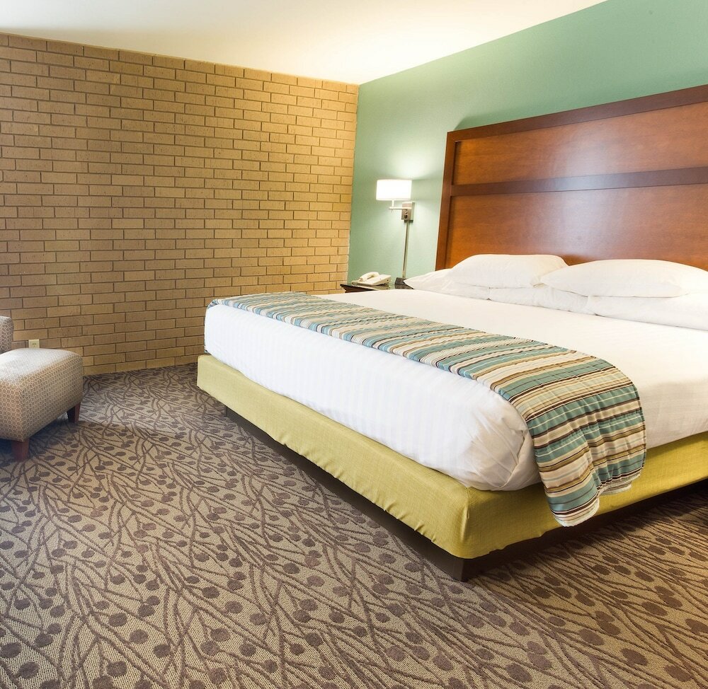 Suite, 1 King Bed with Sofa bed, Refrigerator & Microwave (2 Rooms)