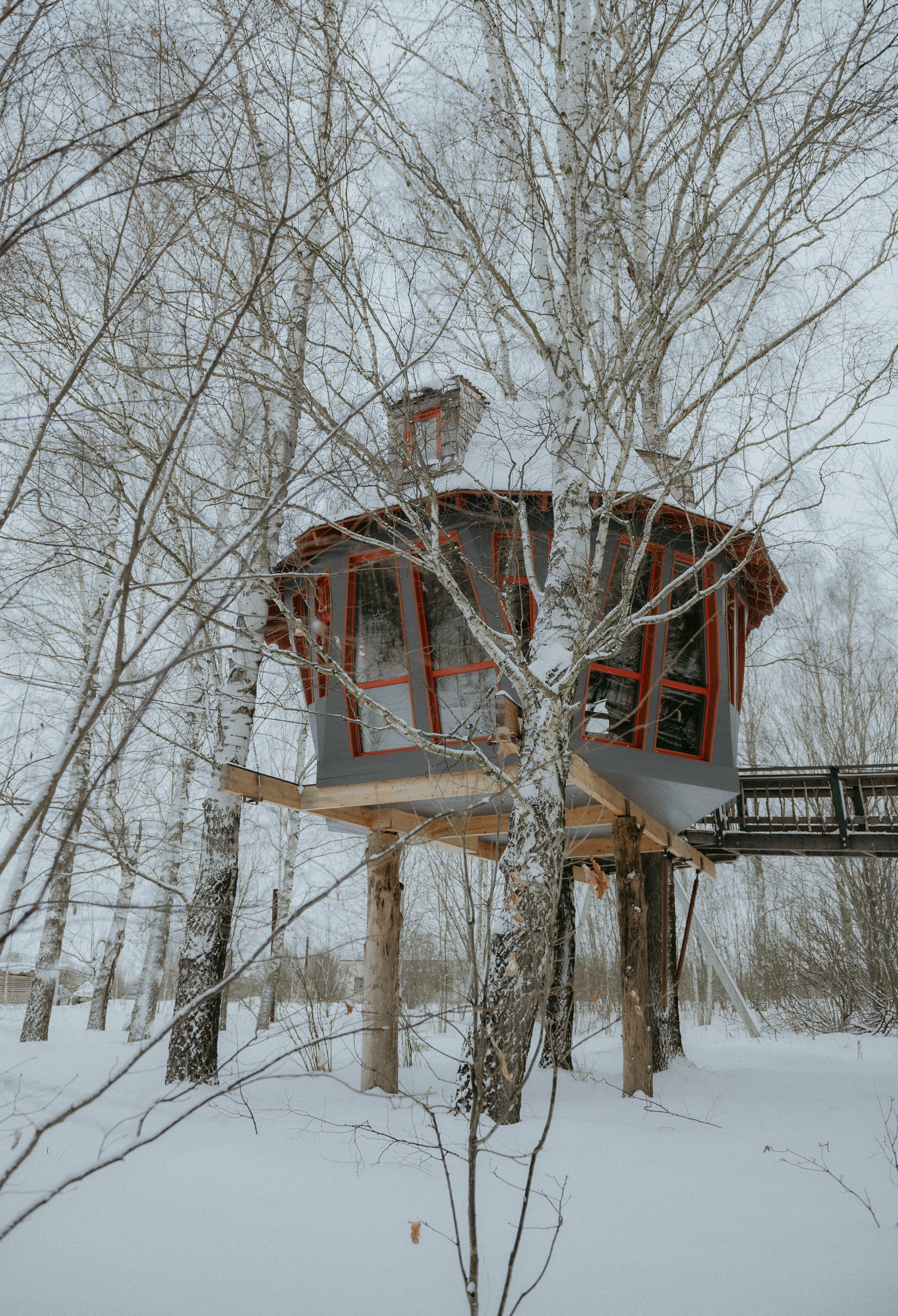 Дом с видом на лес