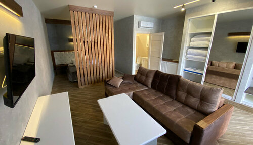 Номер-студия с кроватью размера "king-size" и диван-кроватью в АкваТермо