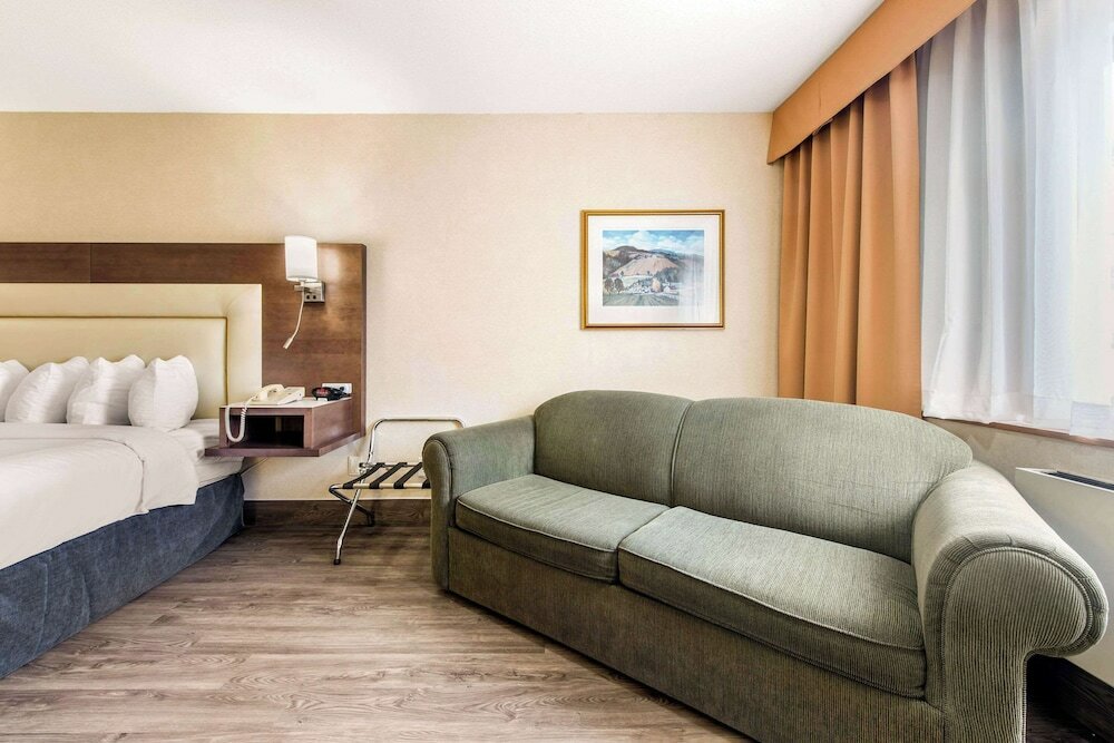 Business Room 1 King Bed with sofa bed Non Smoking
