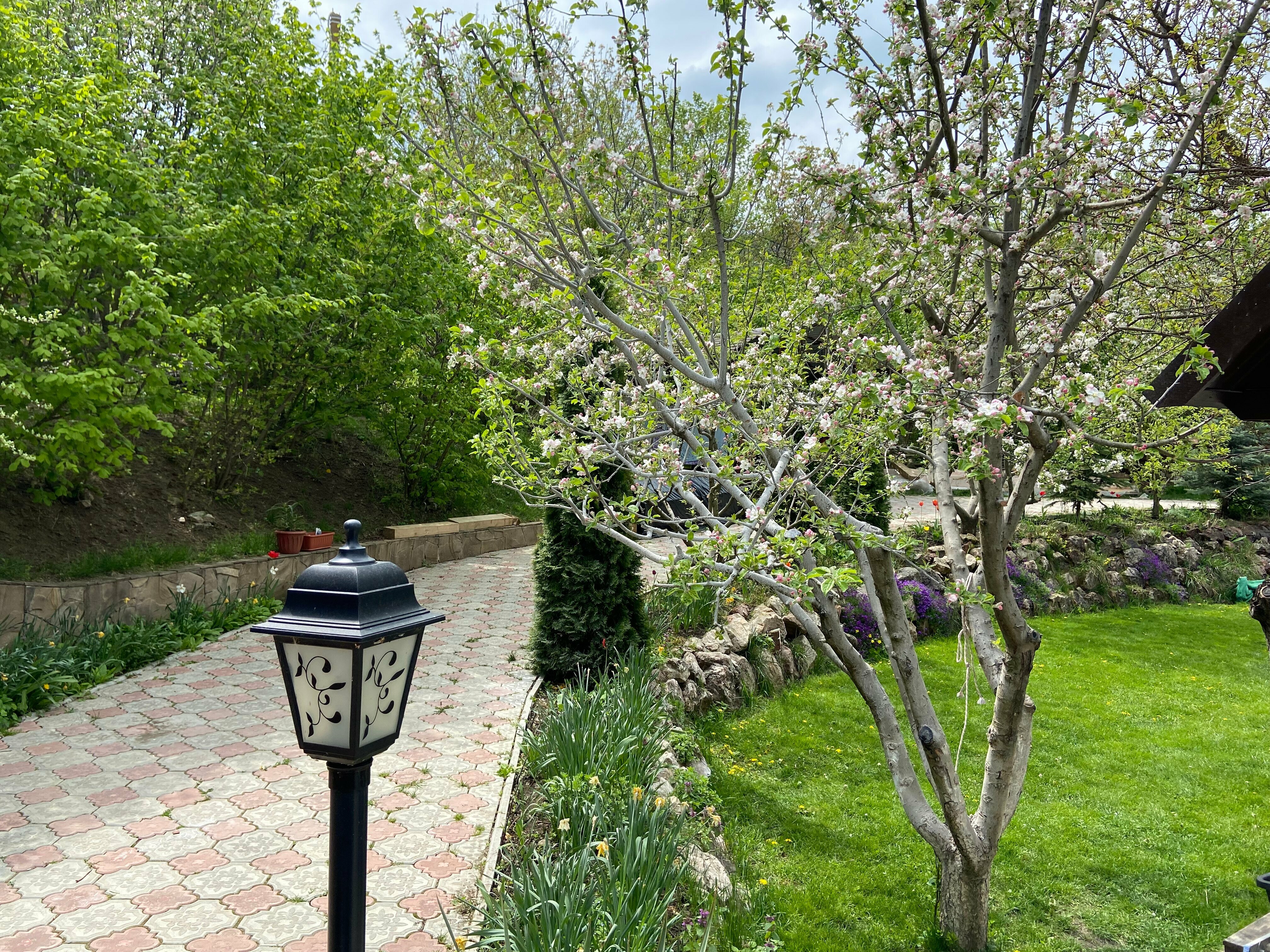 Дом с собственным бассейном