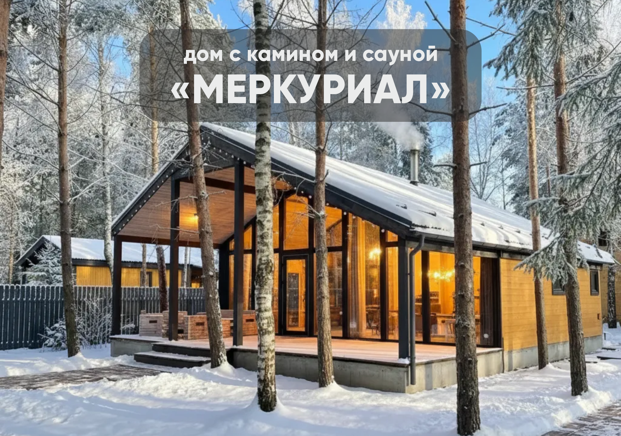 МЕРКУРИАЛ