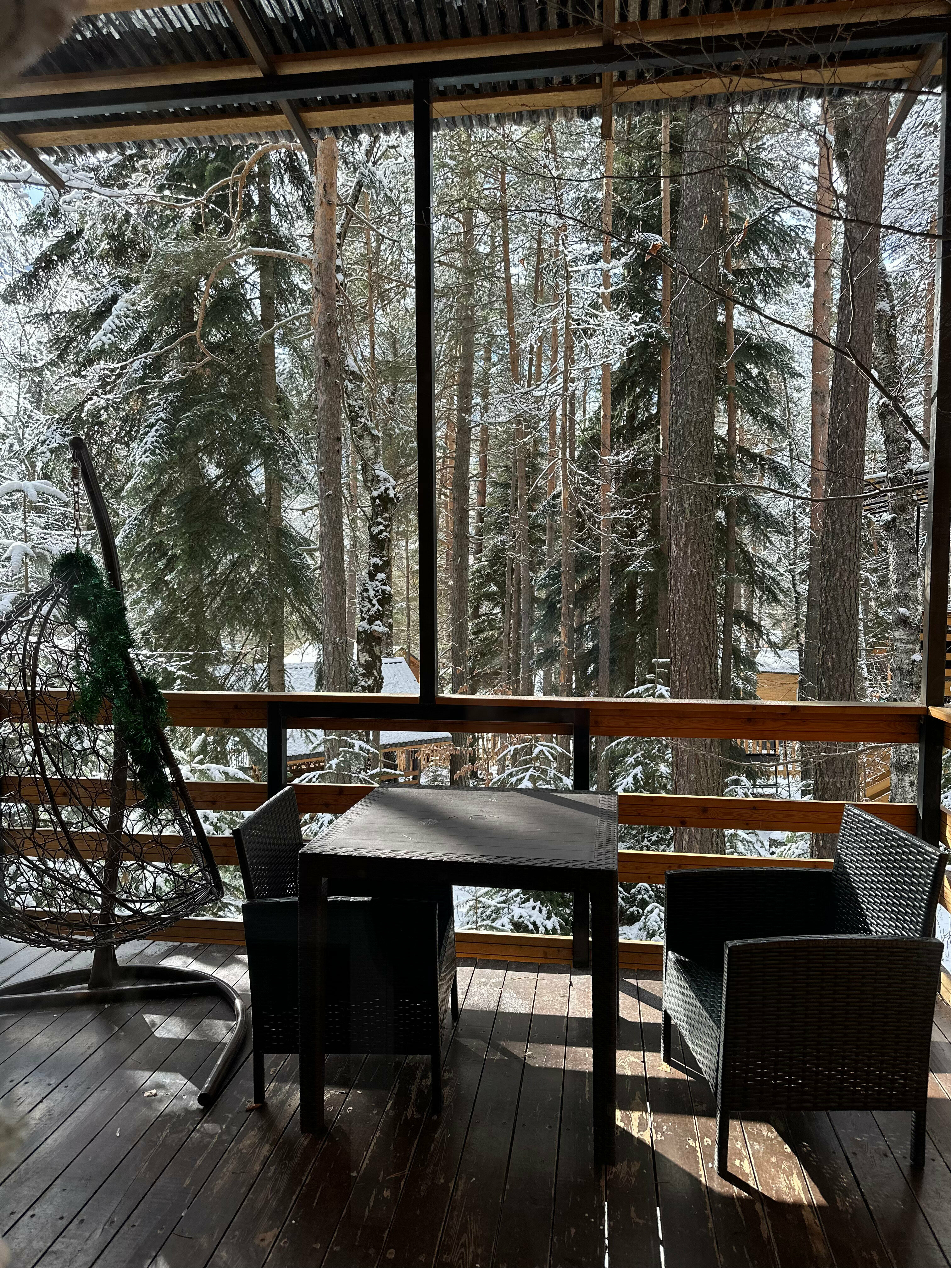 Барнхаус 2 c видом на хвойный лес