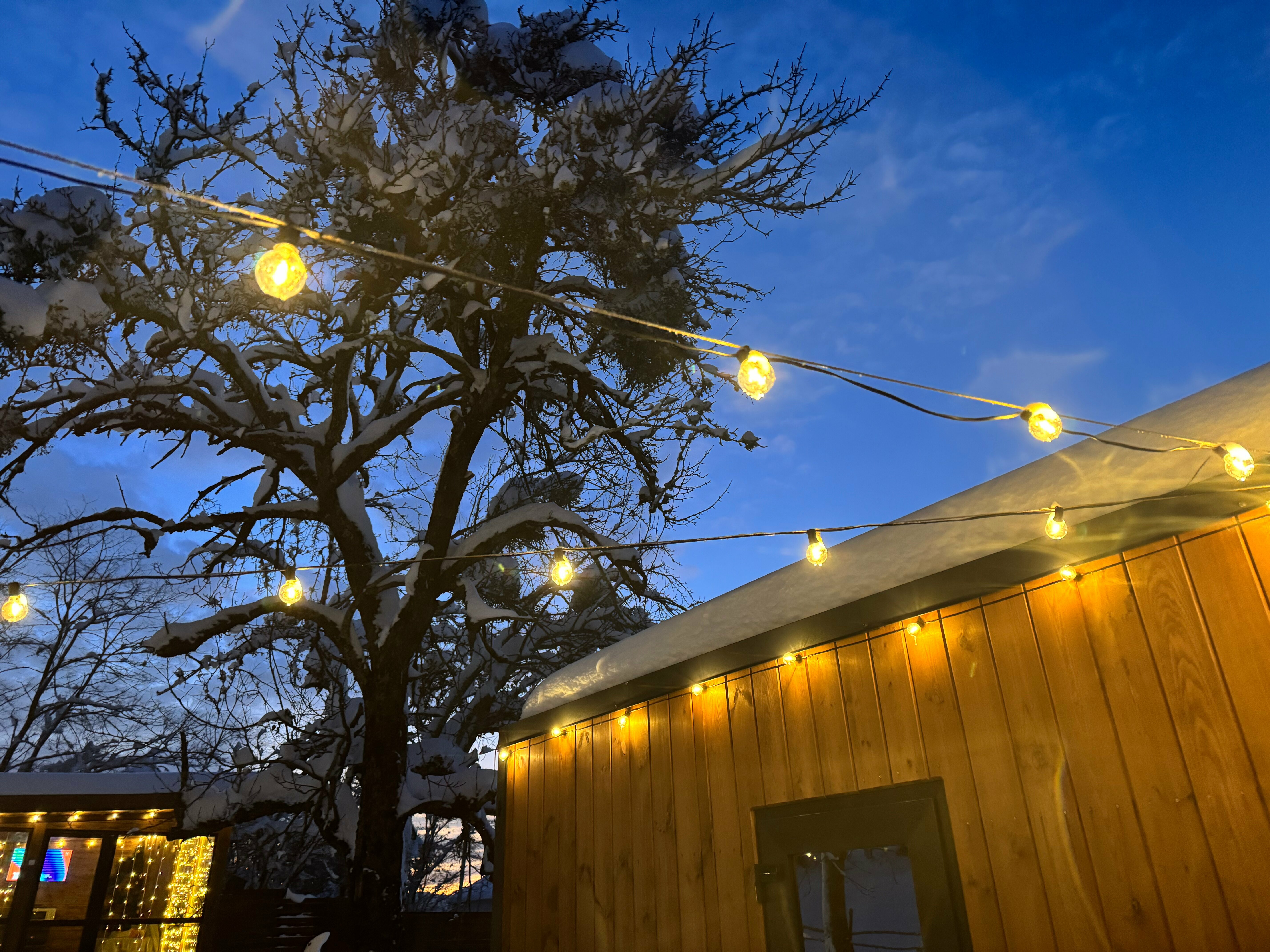 Домик с видом на лес