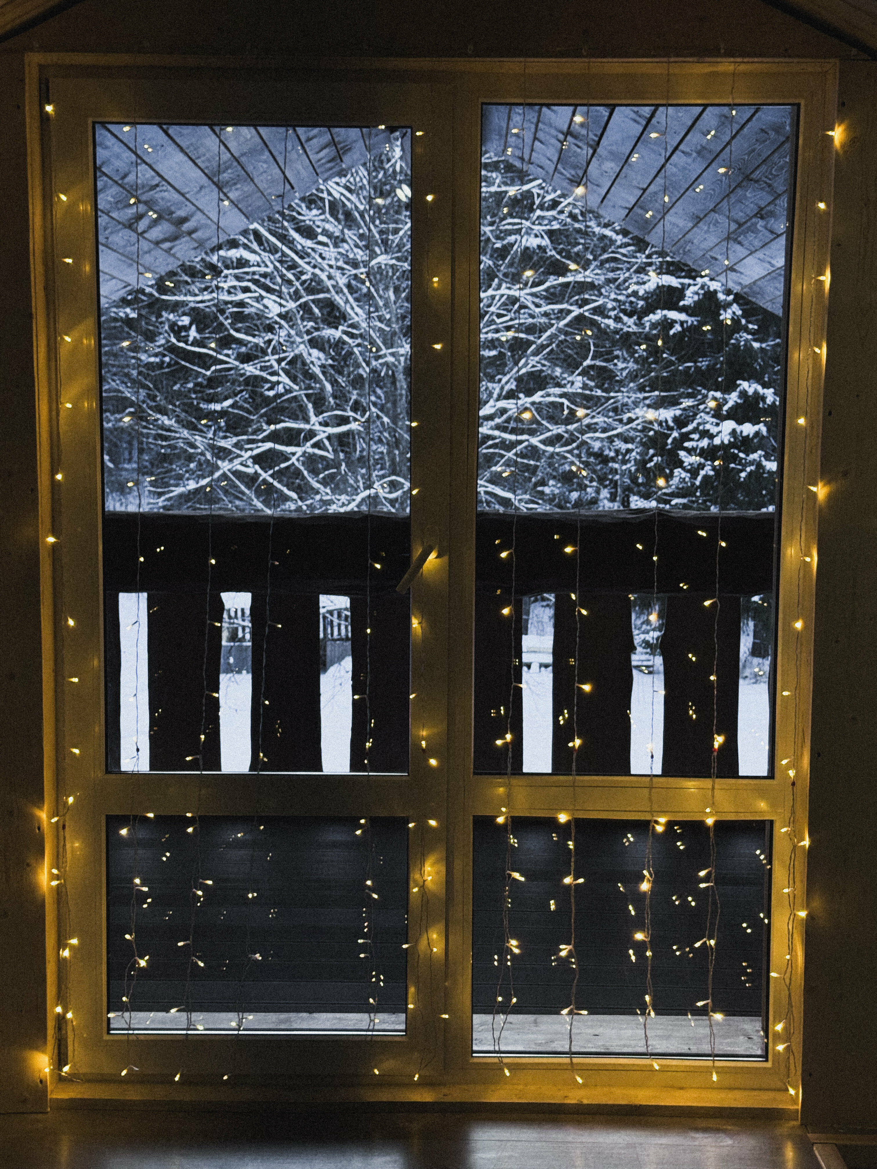 Дом с видом на лес