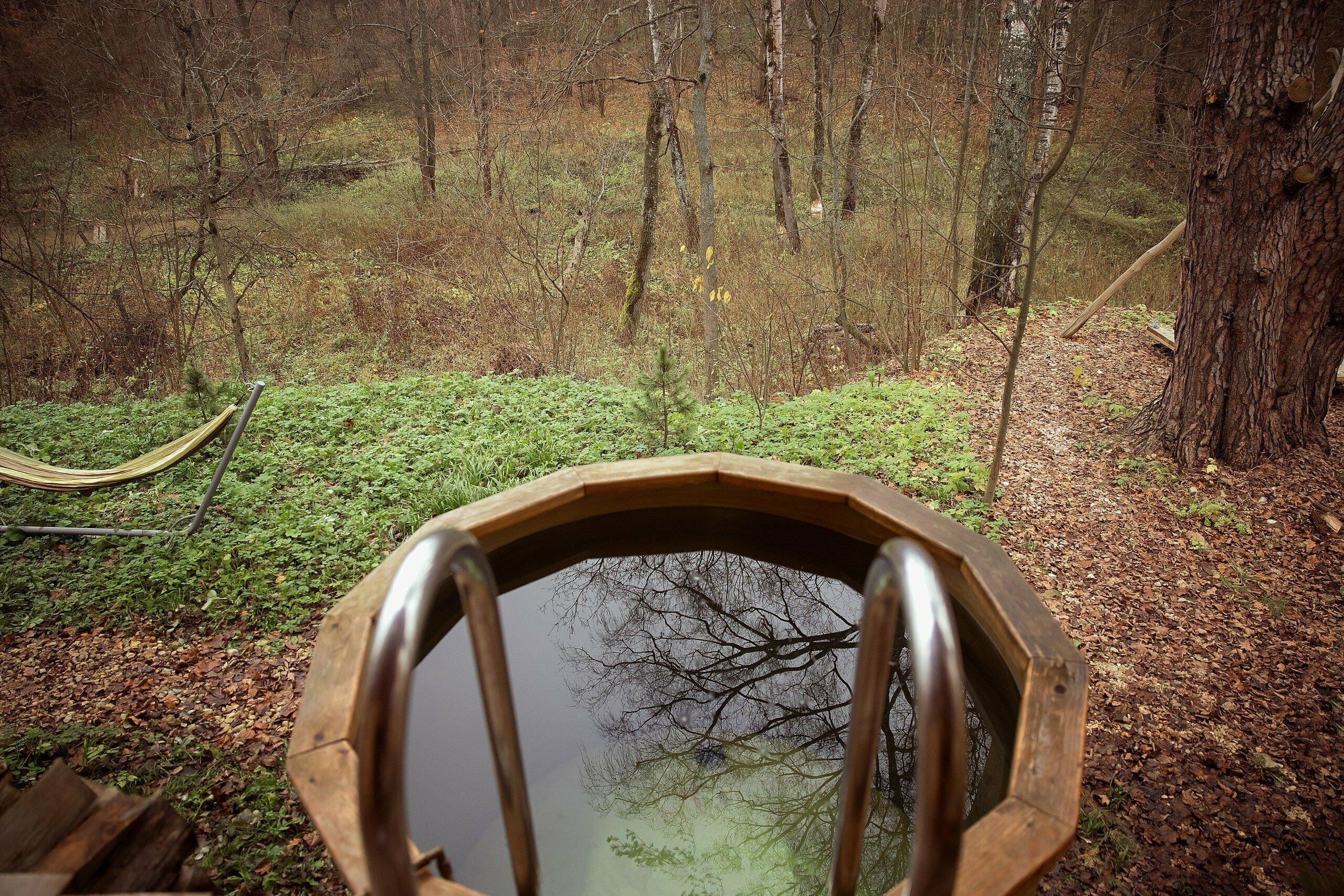 Кедровый дом-сруб-баня "БЛАГОДАТЬ"