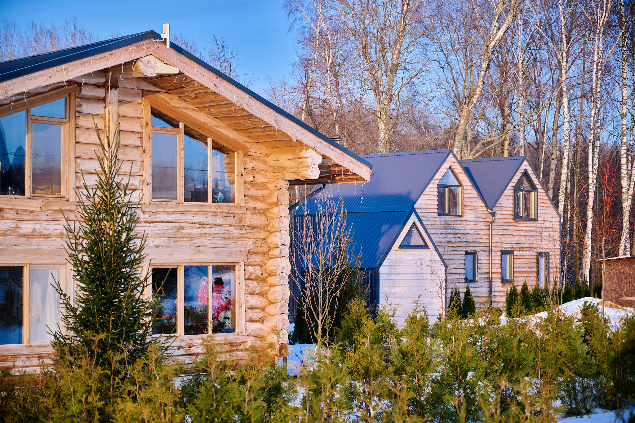 Кедровый дом-сруб "ГЛАВНЫЙ"