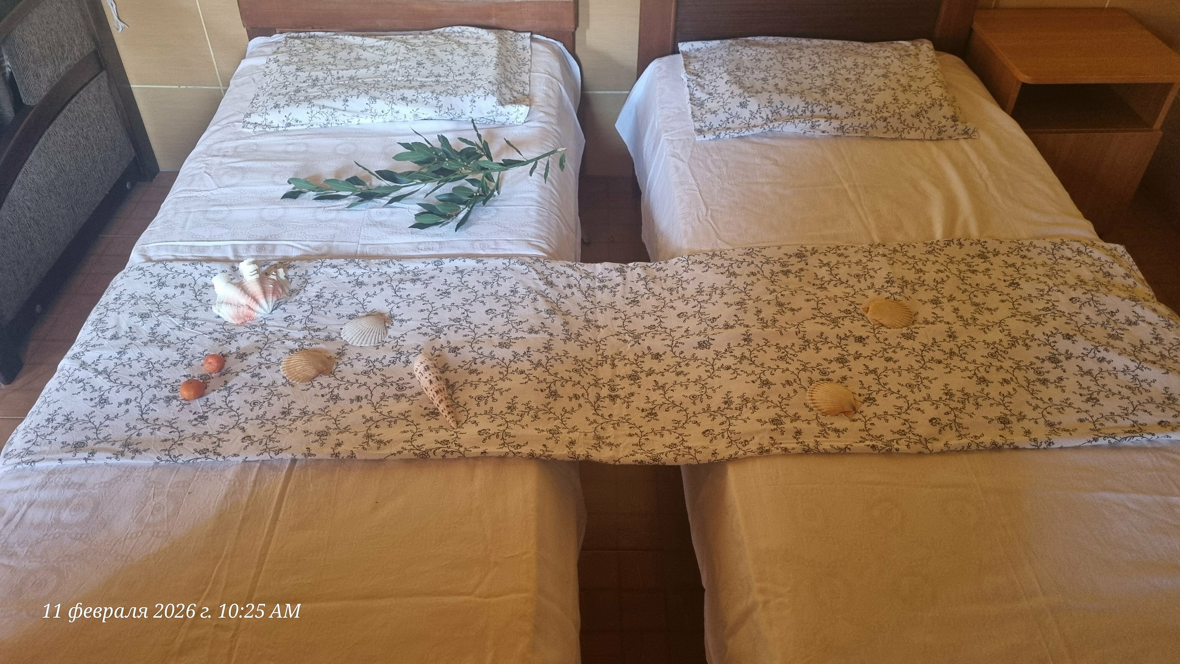 Апартаменты с террасой