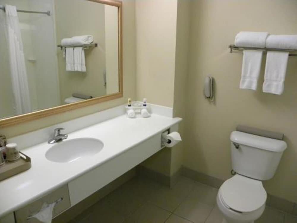 Deluxe Room, 1 King Bed, Non Smoking, Refrigerator & Microwave